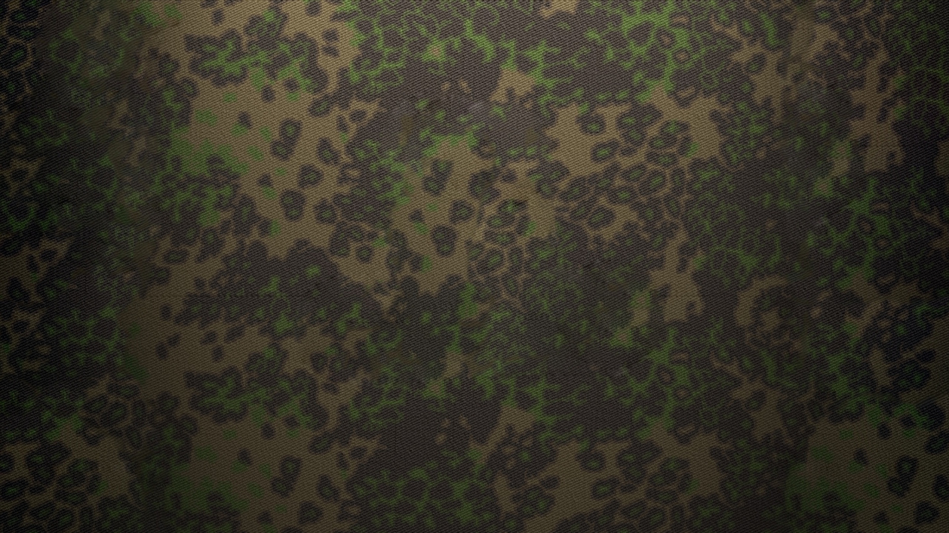 Grün-weißes Florales Textil. Wallpaper in 1920x1080 Resolution