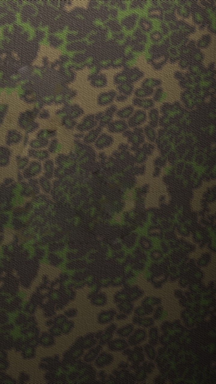 植被, 绿色的, 森林, 丛林, 生物群落 壁纸 720x1280 允许