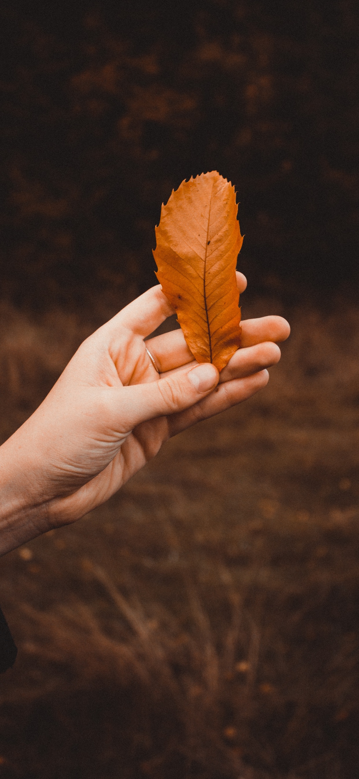 Blatt, Finger, Hand, Nagel, Bekleidungszubehör. Wallpaper in 1242x2688 Resolution