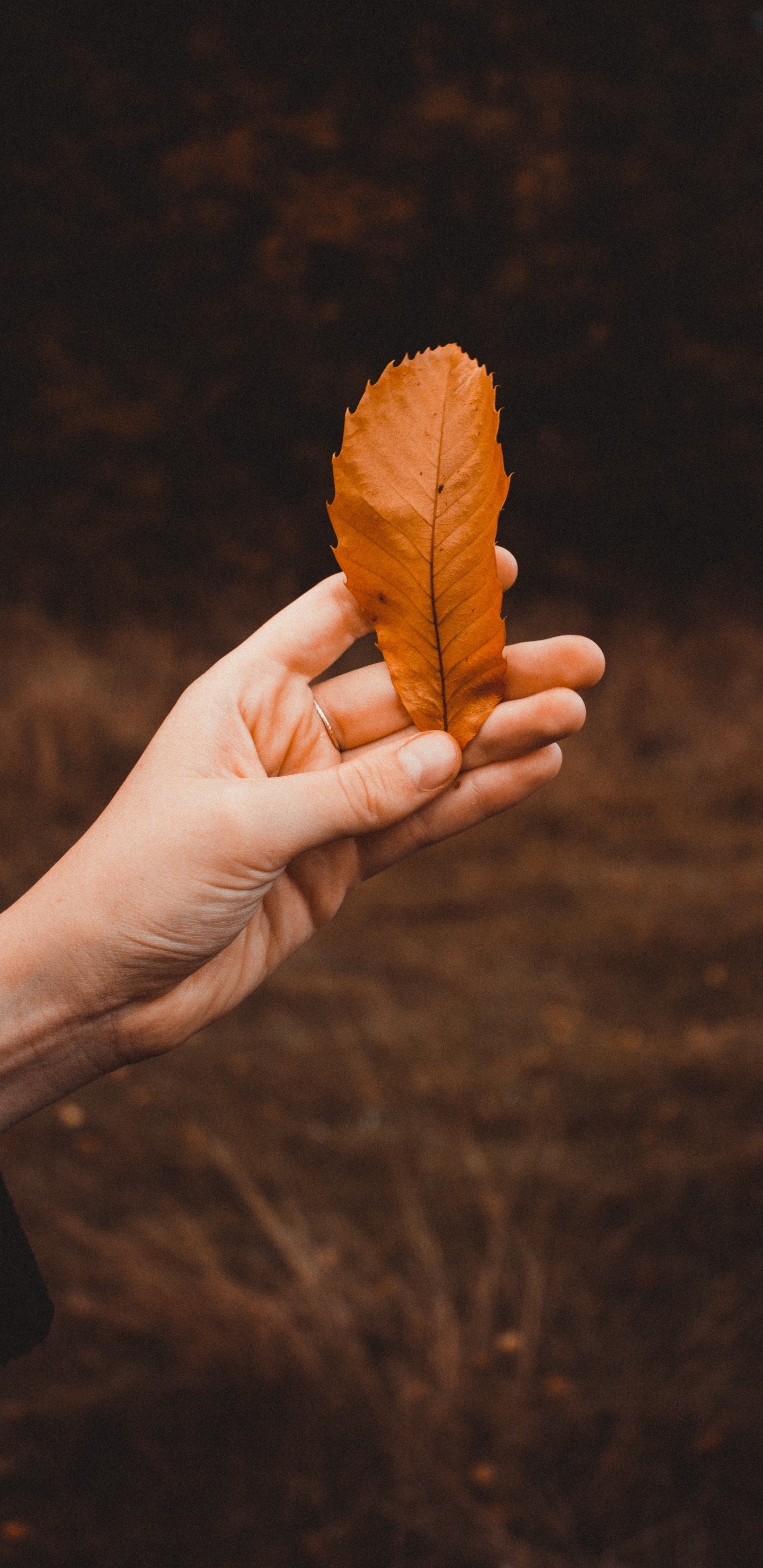 Blatt, Finger, Hand, Nagel, Bekleidungszubehör. Wallpaper in 1440x2960 Resolution