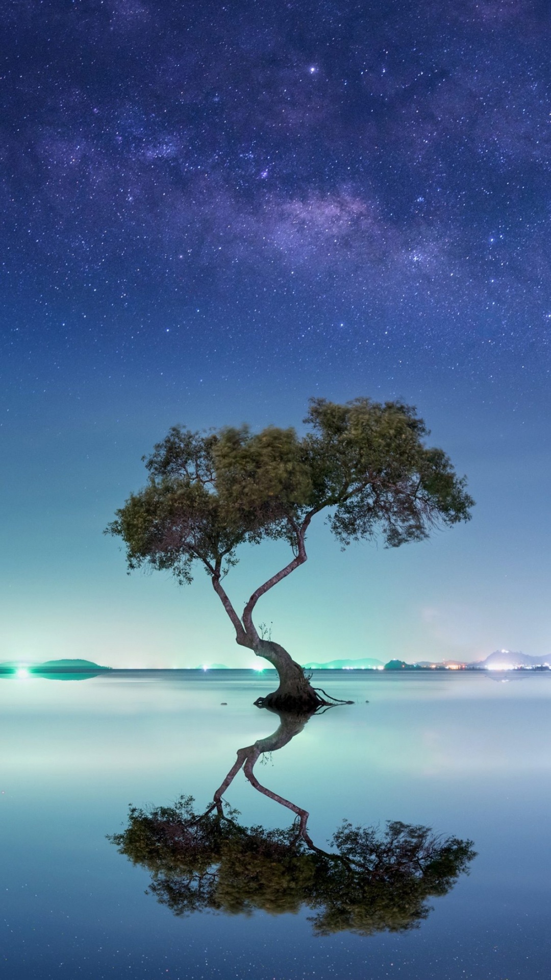 Milky Way, Nature, Branch, Natural Landscape, Atmosphere. Wallpaper in 1080x1920 Resolution
