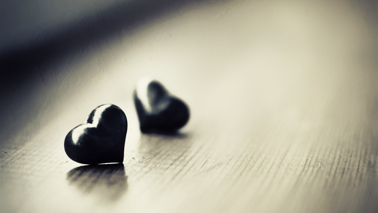 Noir, Monochrome, Dans Les Relations Interpersonnelles, la Photographie Macro, Câlin. Wallpaper in 1280x720 Resolution