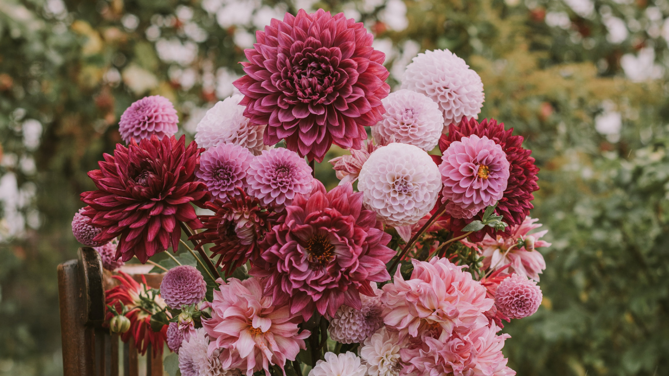 Flores Rosadas en Maceta Gris. Wallpaper in 1366x768 Resolution