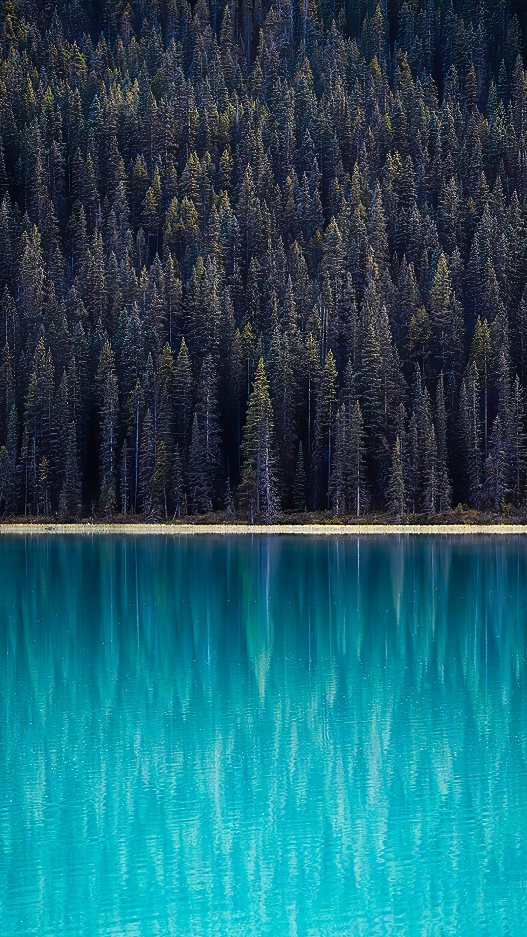 Reflexión, Agua, Los Recursos de Agua, Ecorregión, Azul. Wallpaper in 1080x1920 Resolution