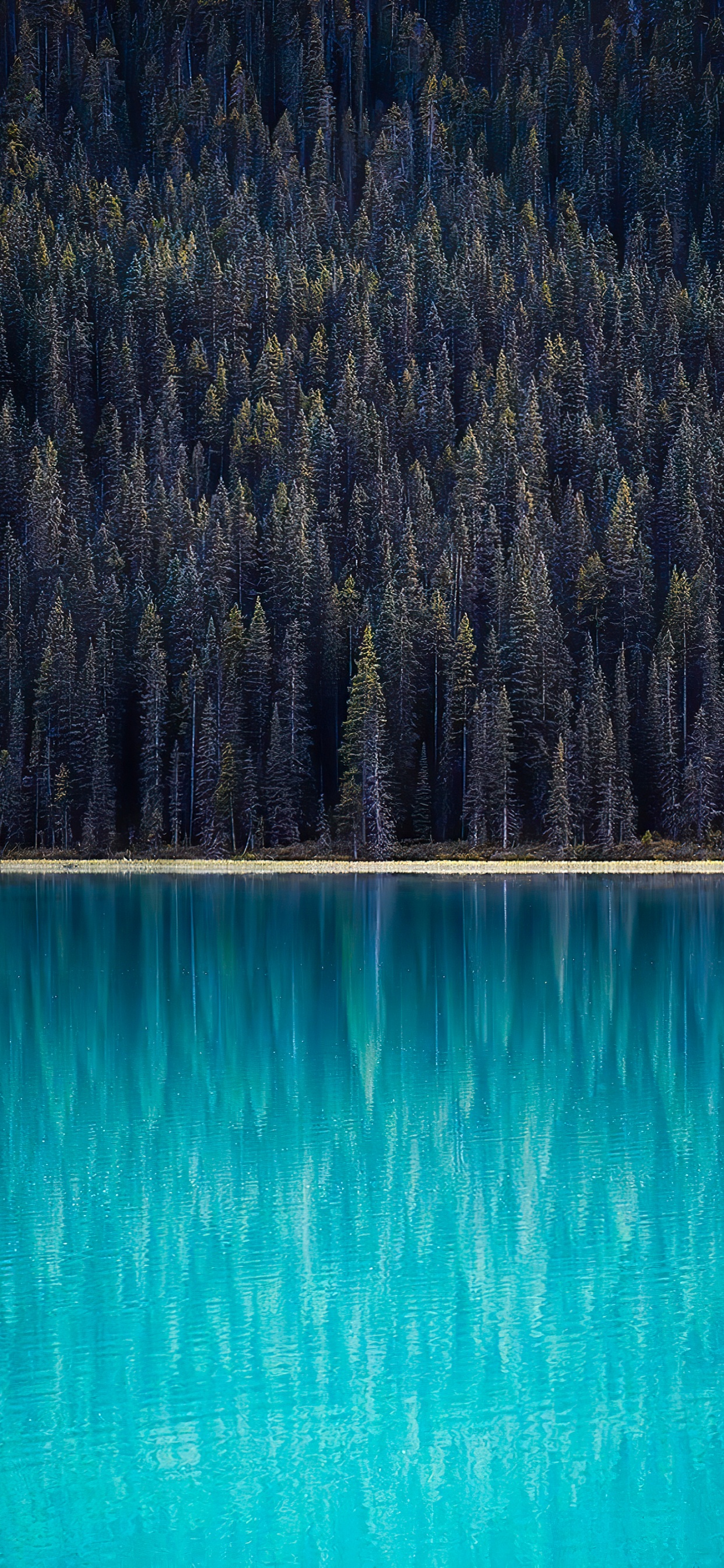 Reflexión, Agua, Los Recursos de Agua, Ecorregión, Azul. Wallpaper in 1242x2688 Resolution
