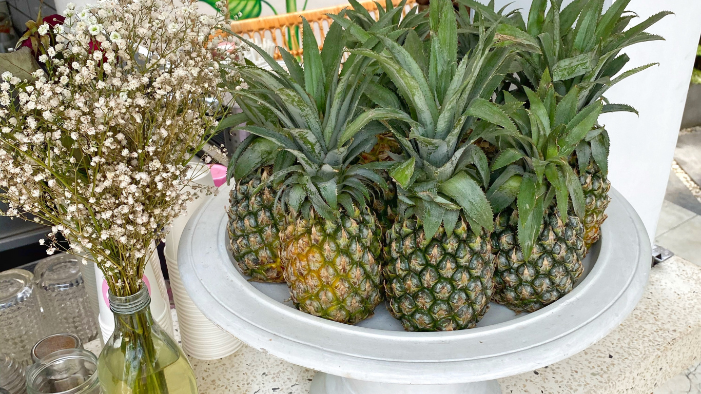 Ananas, Sciences, Biologie, La Nutrition Végétalienne, Produit. Wallpaper in 1366x768 Resolution