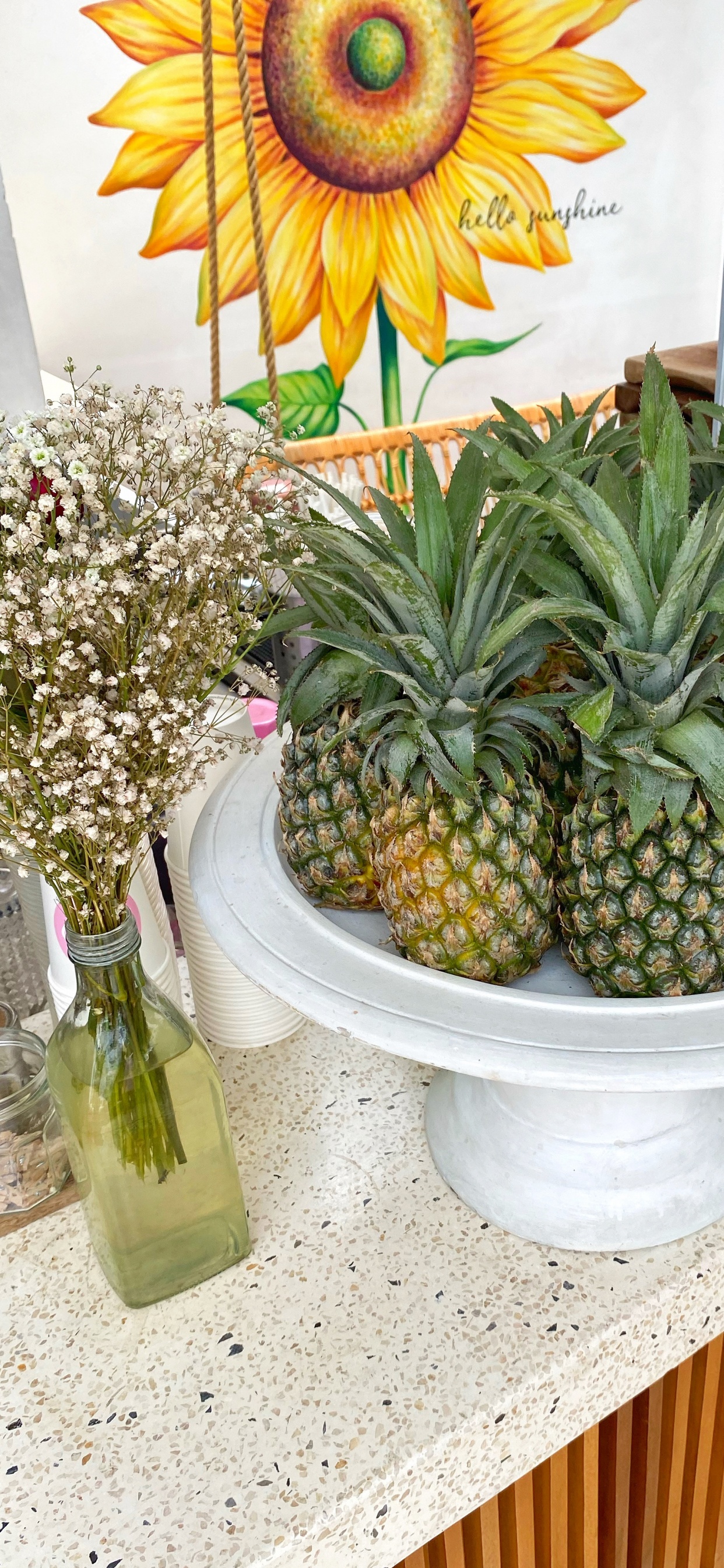 Ananas, Wissenschaft, Biologie, Vegane Ernährung, Zutaten. Wallpaper in 1242x2688 Resolution