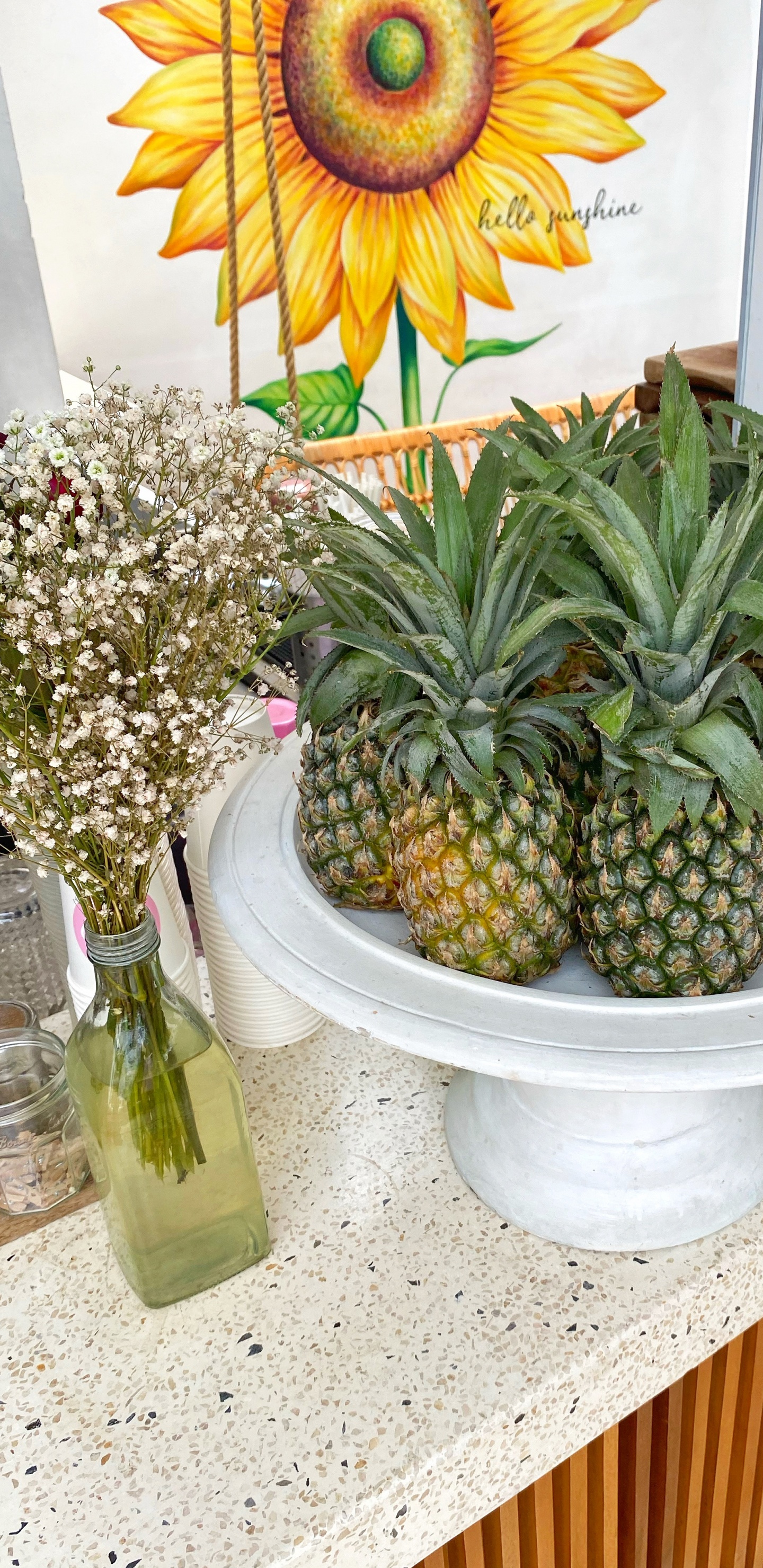 Ananas, Wissenschaft, Biologie, Vegane Ernährung, Zutaten. Wallpaper in 1440x2960 Resolution