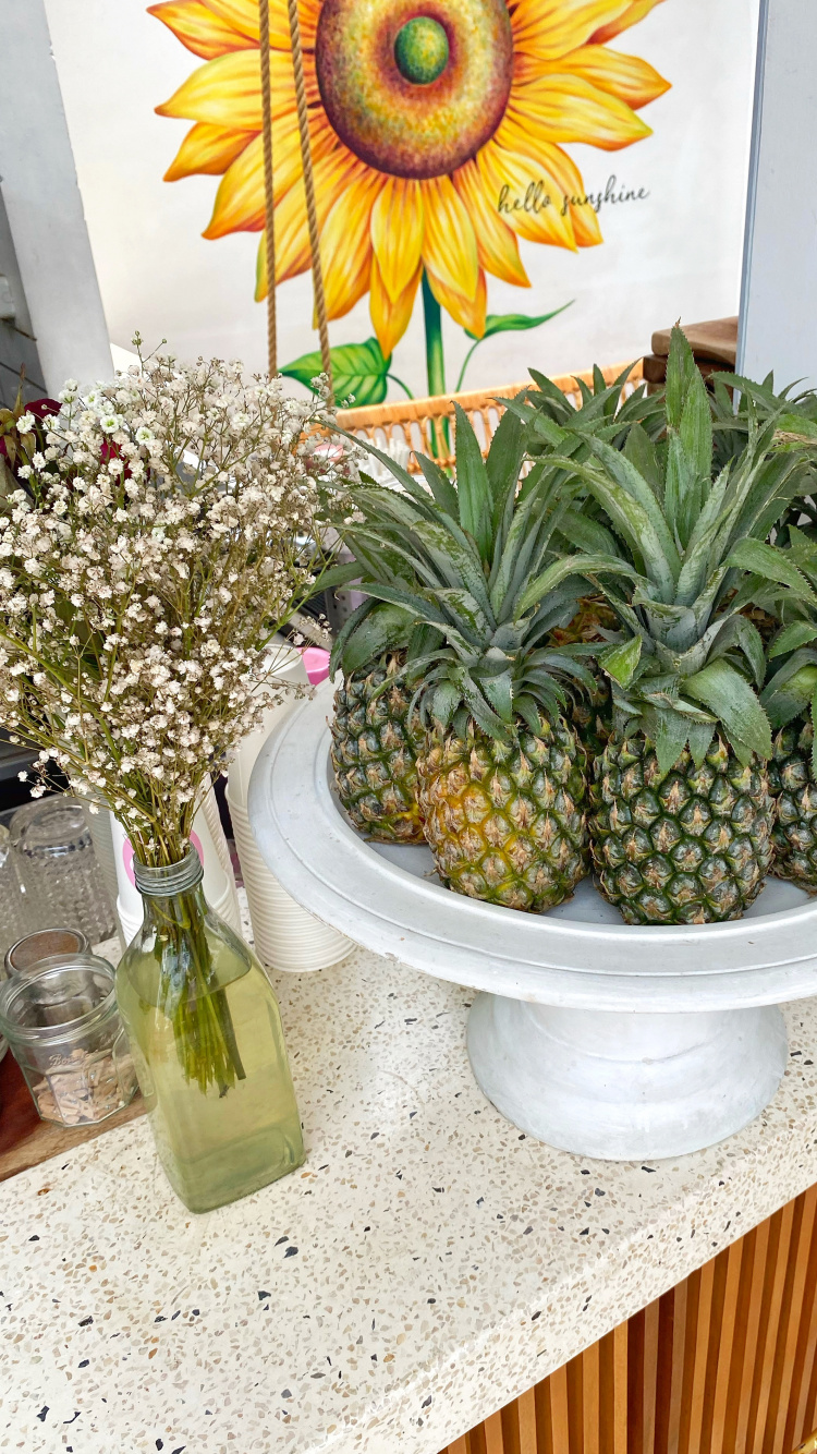 Piña, Ciencia, Biología, Nutrición Vegana, Producir. Wallpaper in 750x1334 Resolution