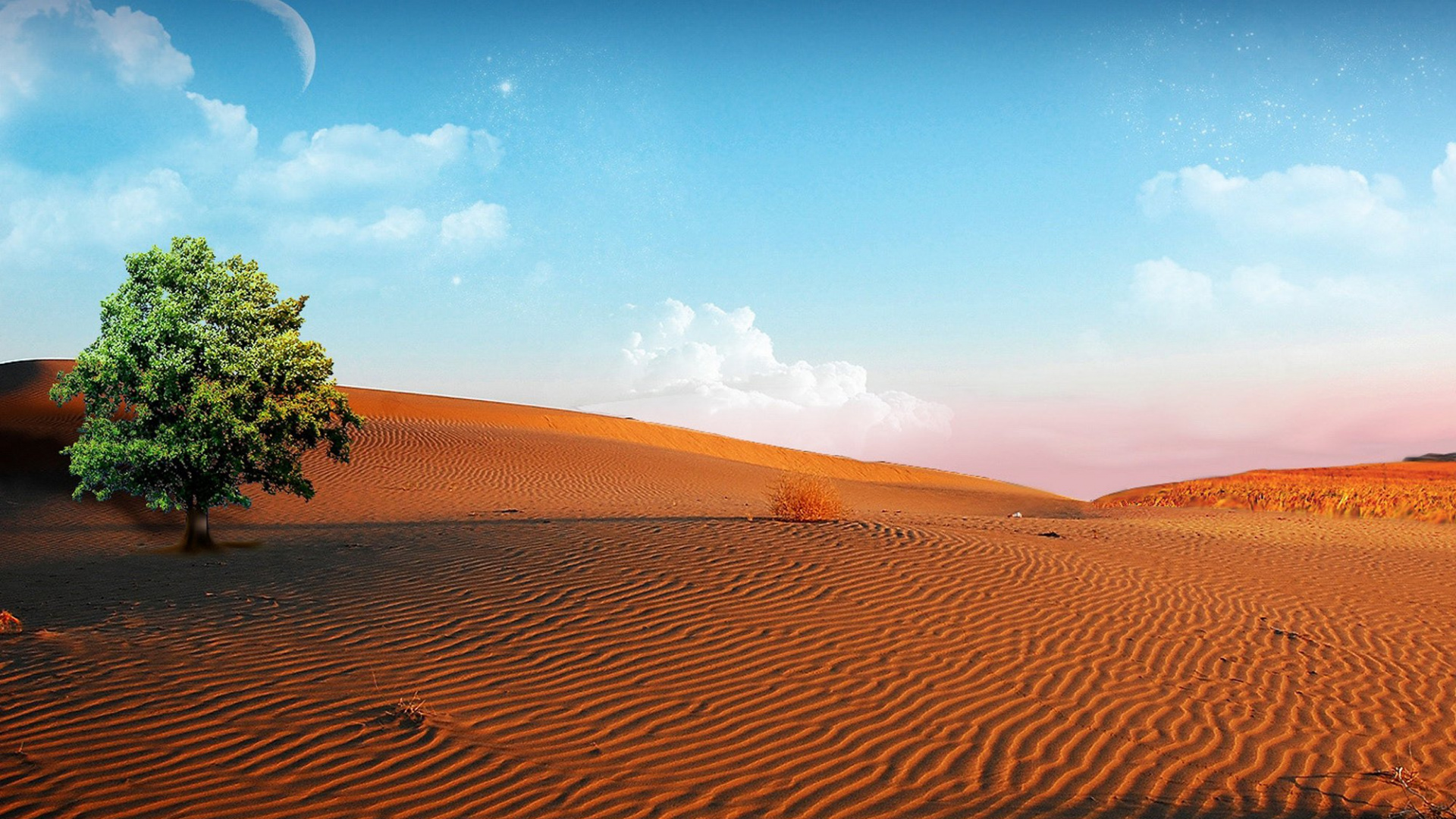 Green Tree on Brown Sand Under Blue Sky During Daytime. Wallpaper in 1920x1080 Resolution