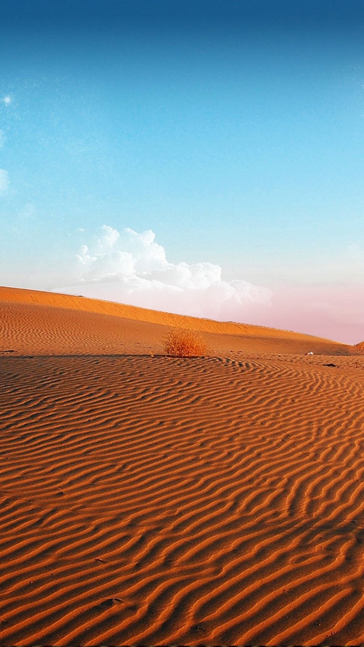 Green Tree on Brown Sand Under Blue Sky During Daytime. Wallpaper in 720x1280 Resolution