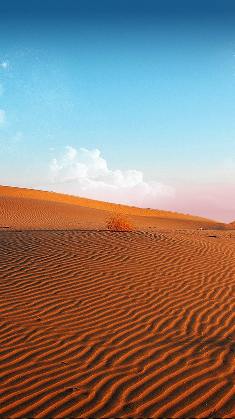 Green Tree on Brown Sand Under Blue Sky During Daytime. Wallpaper in 750x1334 Resolution