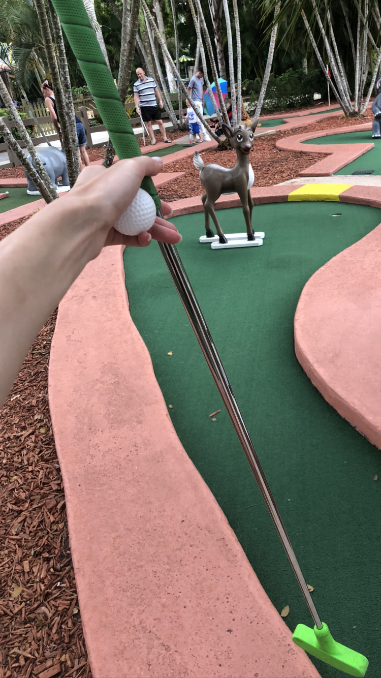 Miniature Golf, Public Space, Leaf, Leisure, Woody Plant. Wallpaper in 750x1334 Resolution