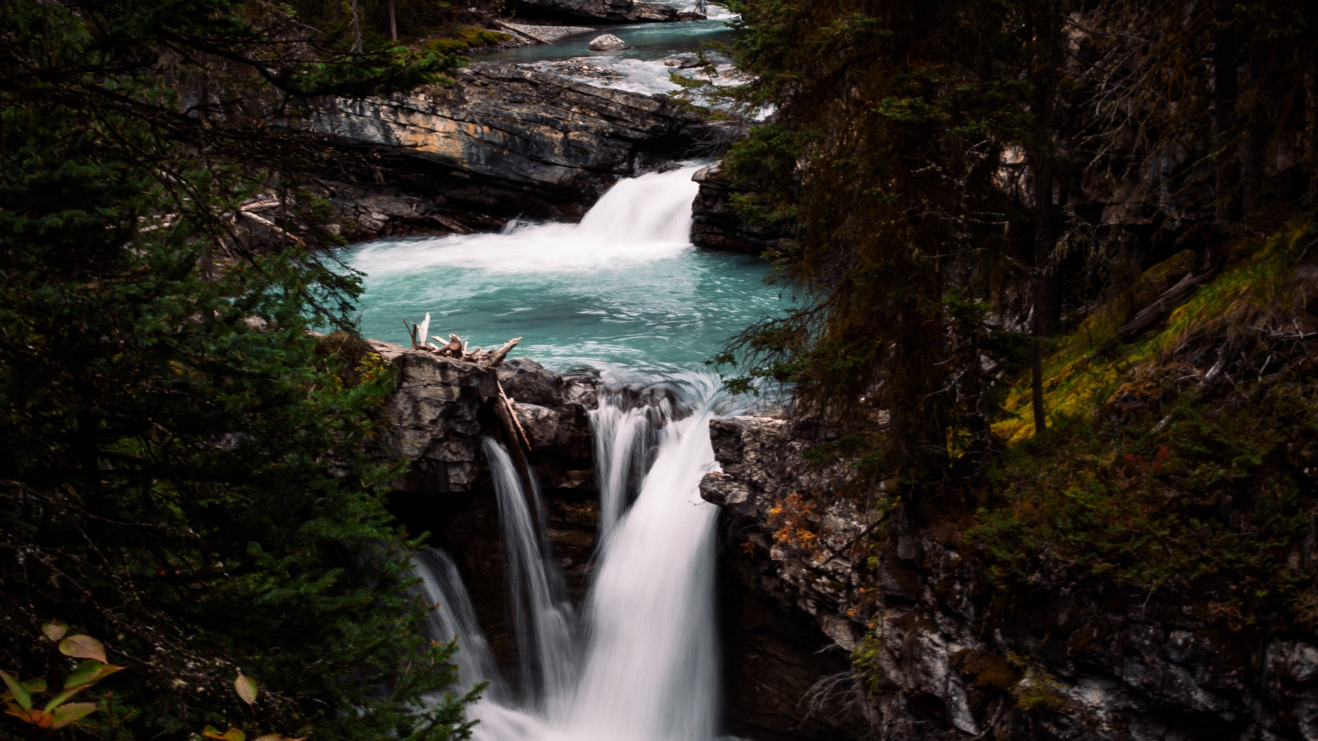 Vegetation, Watercourse, Stream, Body of Water, Natural Landscape. Wallpaper in 1920x1080 Resolution