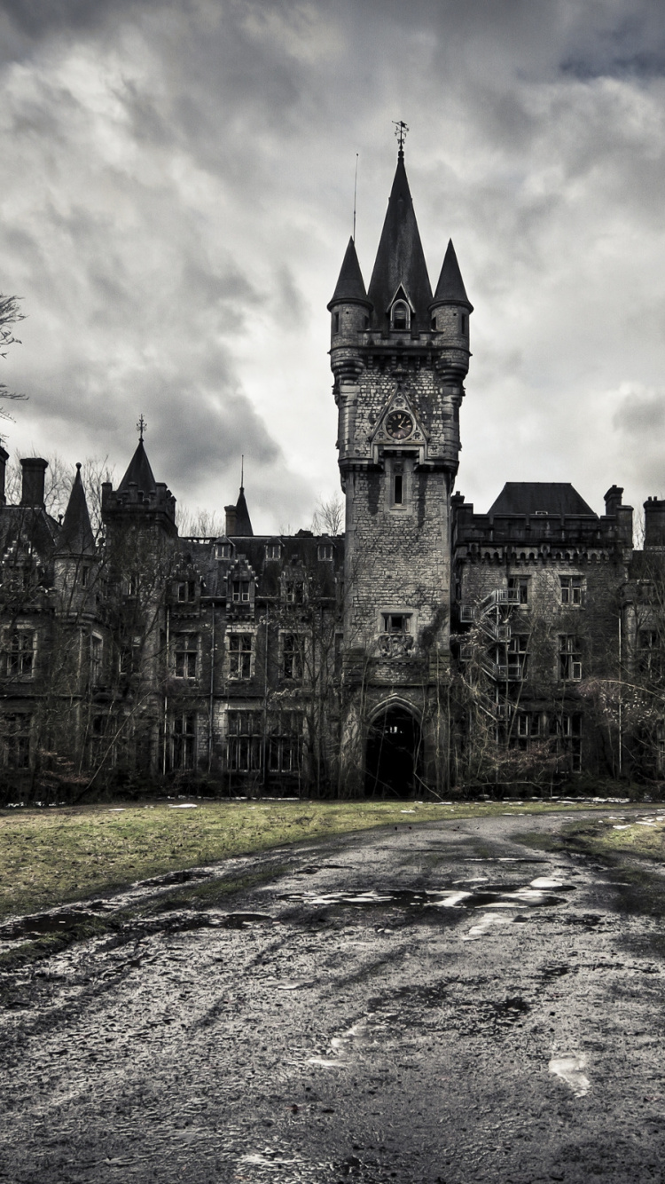 Gray Concrete Castle Under Cloudy Sky During Daytime. Wallpaper in 750x1334 Resolution