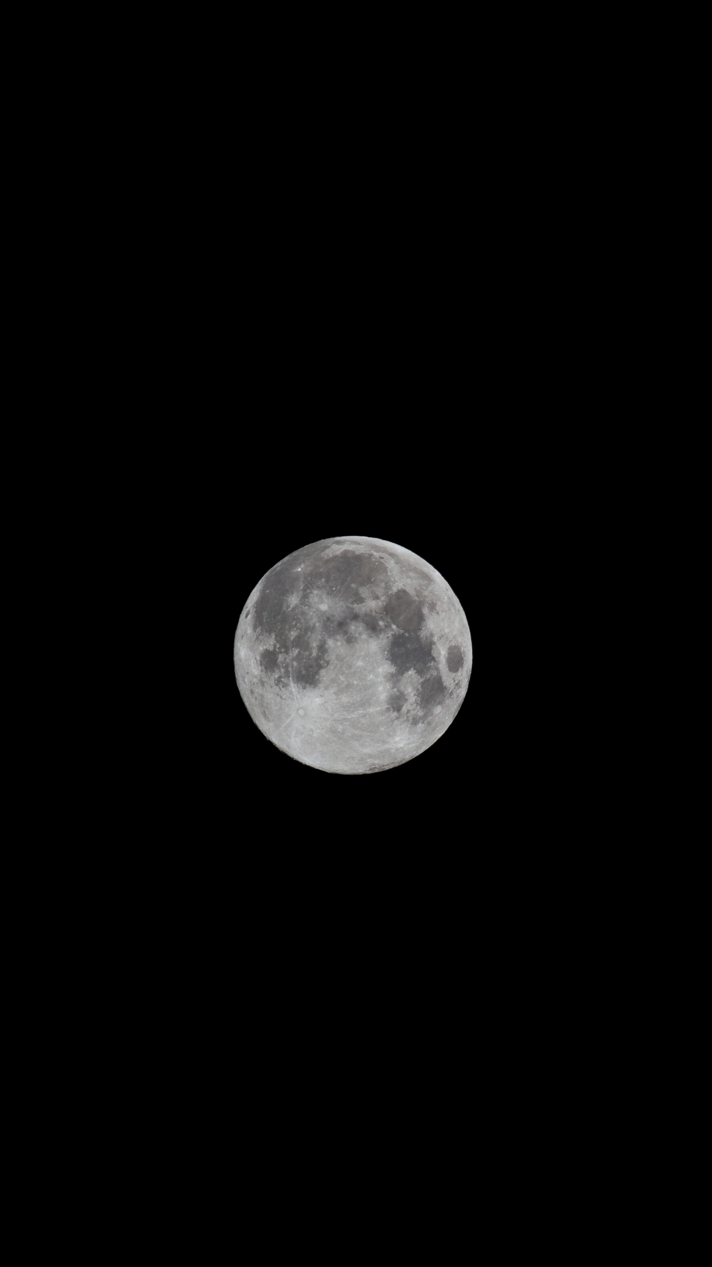 Luna Llena en el Cielo. Wallpaper in 1440x2560 Resolution