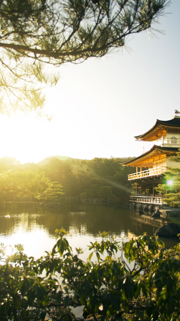 寺庙, 水资源, 性质, 中国建筑, 日本建筑 壁纸 750x1334 允许