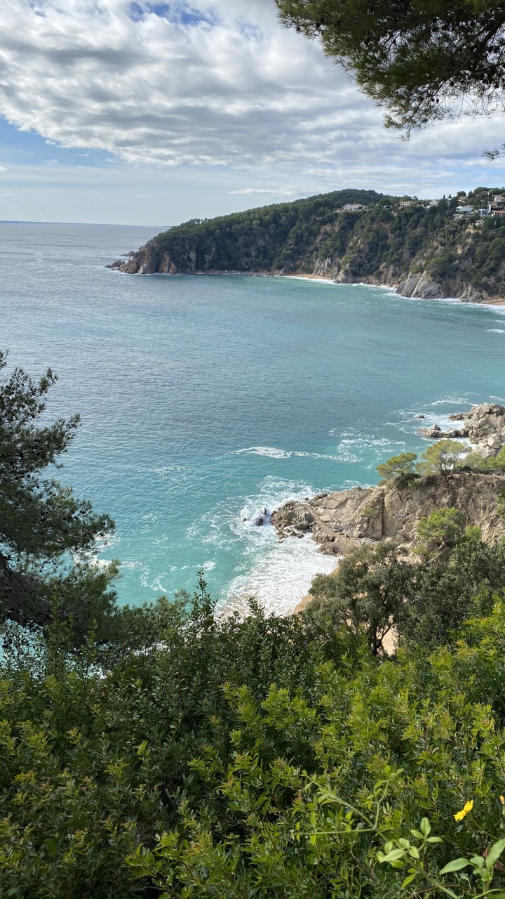 Coast, Body of Water, Vegetation, Nature, Natural Environment. Wallpaper in 720x1280 Resolution