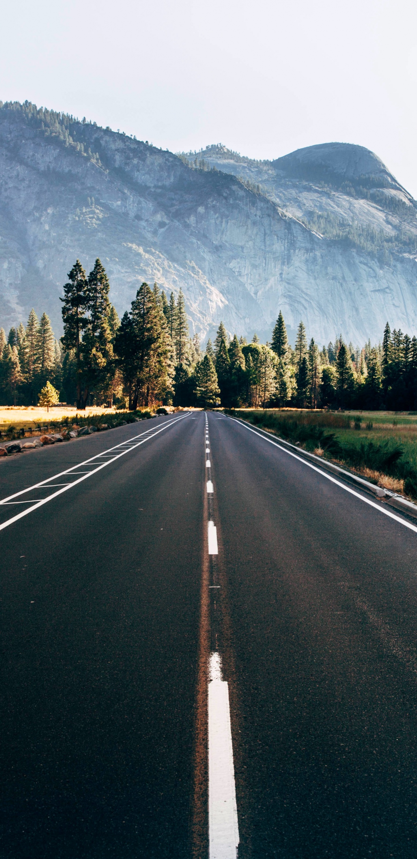 Gray Concrete Road Between Green Trees and Mountain During Daytime. Wallpaper in 1440x2960 Resolution