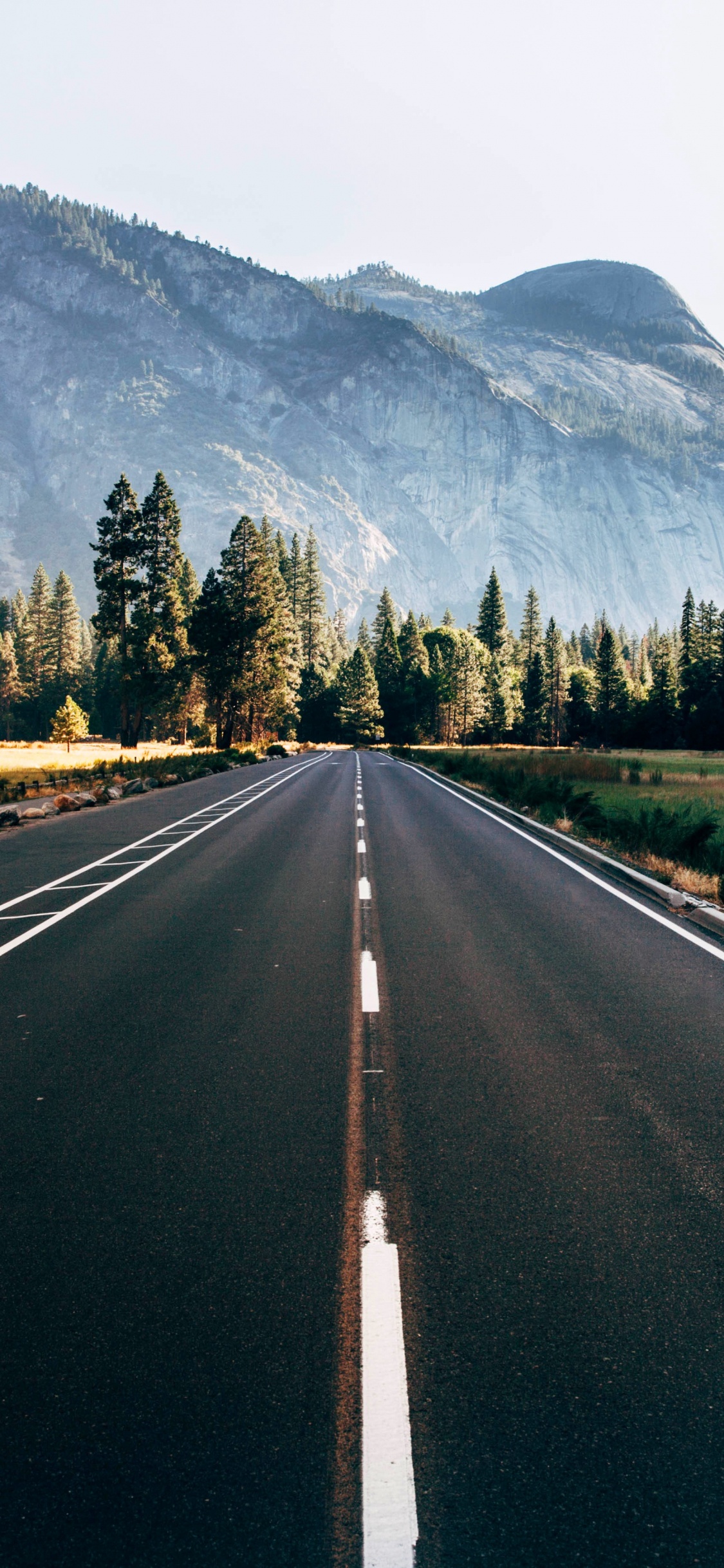 Graue Betonstraße Zwischen Grünen Bäumen Und Bergen Tagsüber. Wallpaper in 1125x2436 Resolution