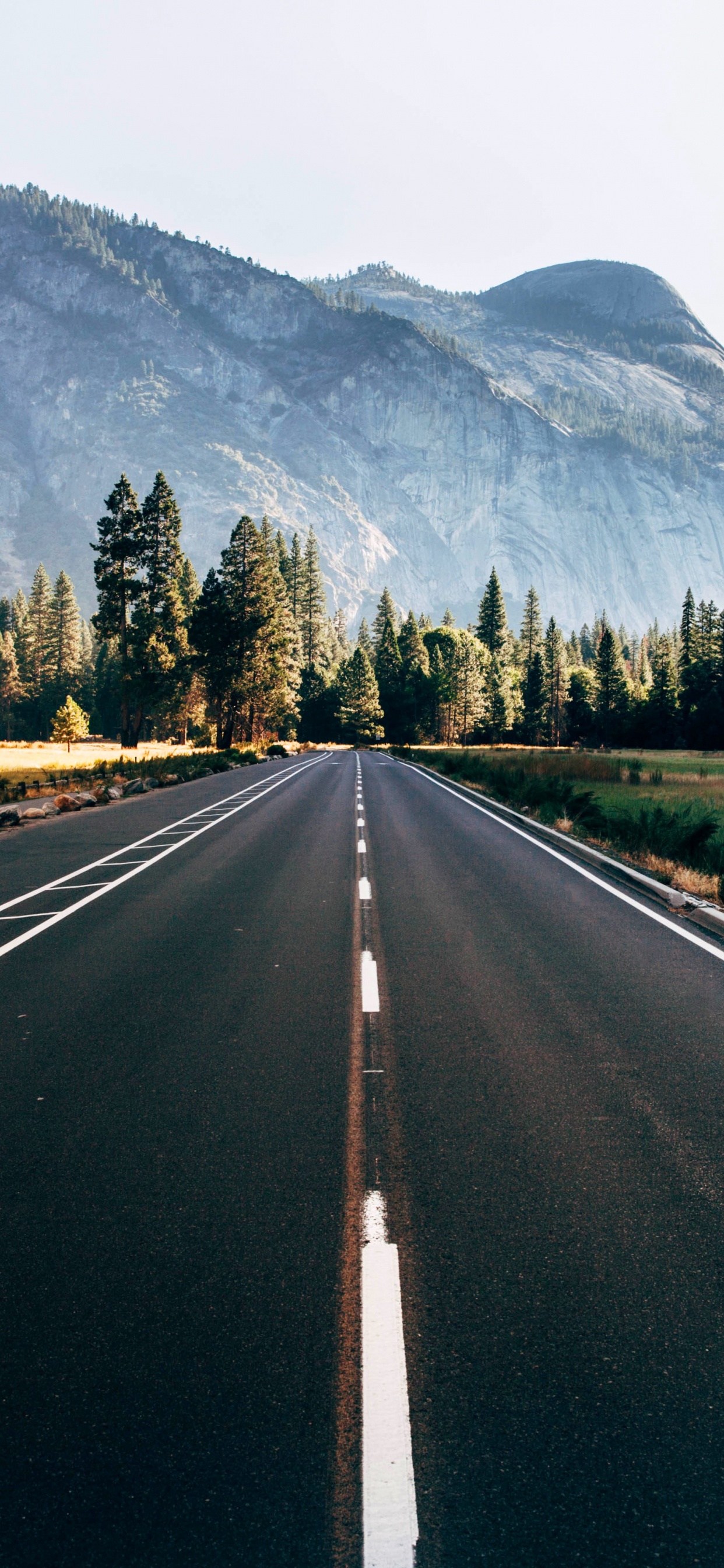 Graue Betonstraße Zwischen Grünen Bäumen Und Bergen Tagsüber. Wallpaper in 1242x2688 Resolution