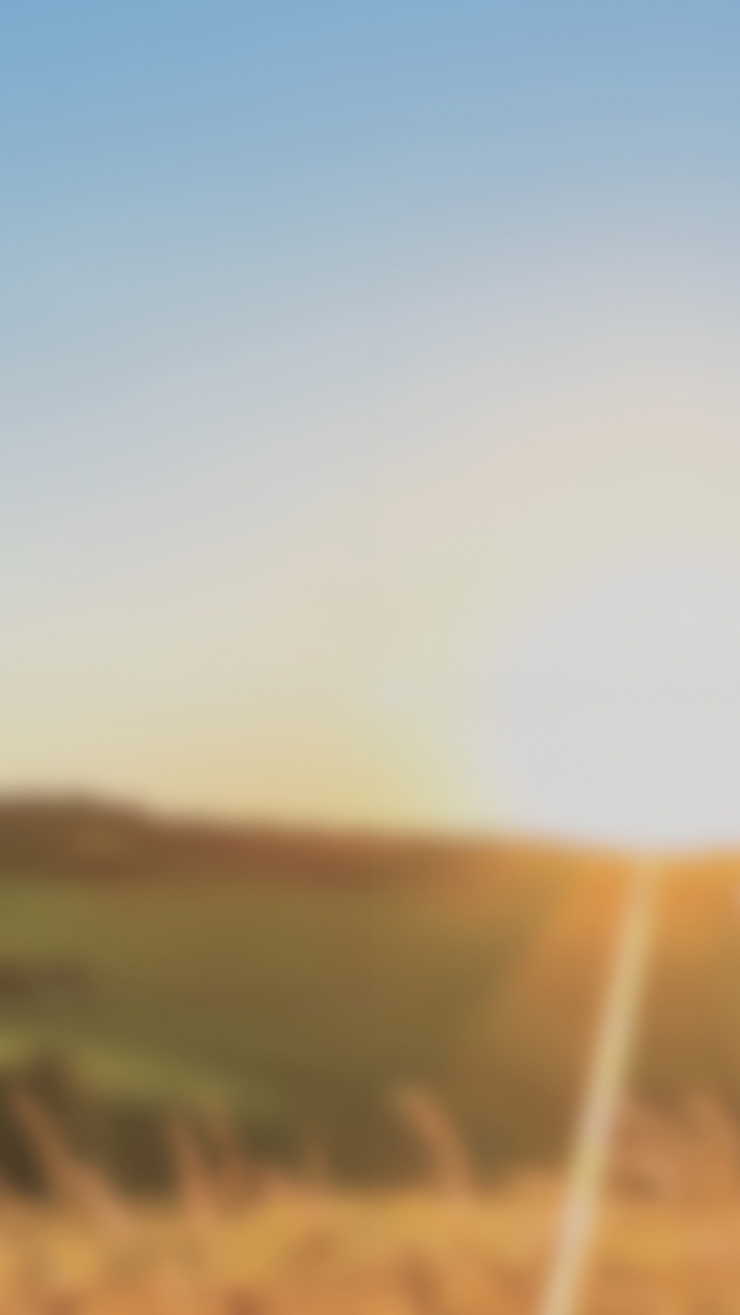 气氛, 自然景观, 木, 地平线, 余辉 壁纸 1080x1920 允许