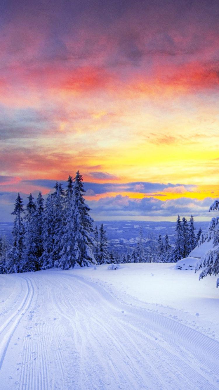 Pins Couverts de Neige au Coucher du Soleil. Wallpaper in 750x1334 Resolution