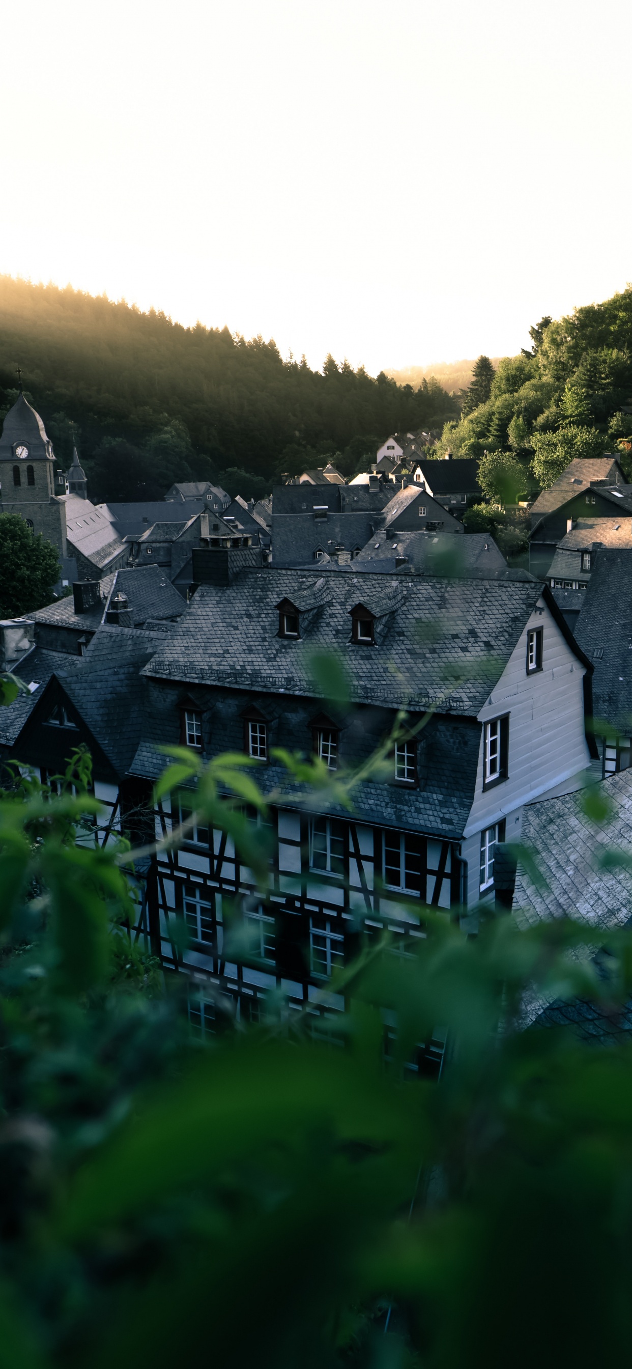 Maison en Béton Blanc et Noir Sur Terrain D'herbe Verte. Wallpaper in 1242x2688 Resolution