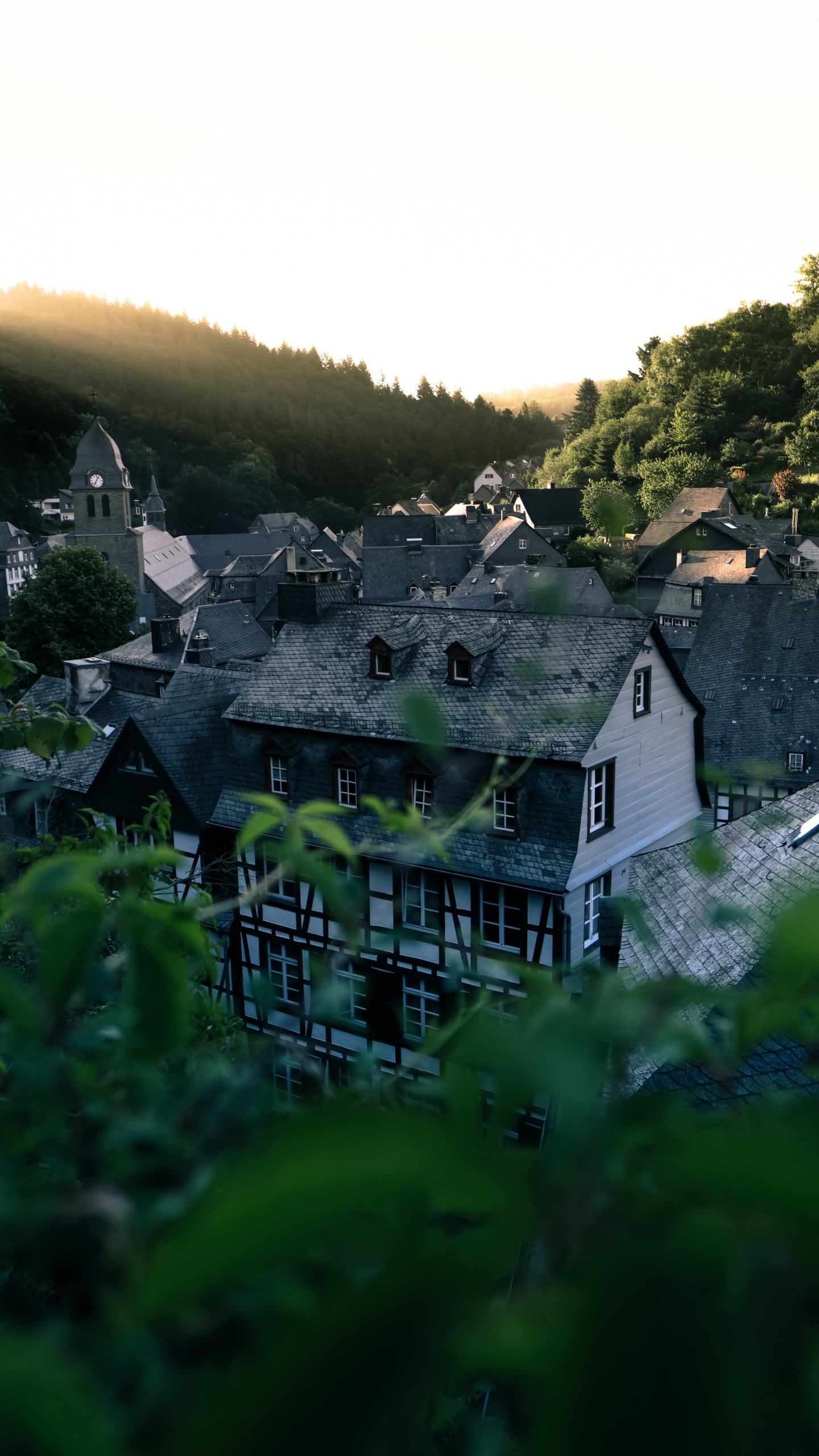 Maison en Béton Blanc et Noir Sur Terrain D'herbe Verte. Wallpaper in 1440x2560 Resolution