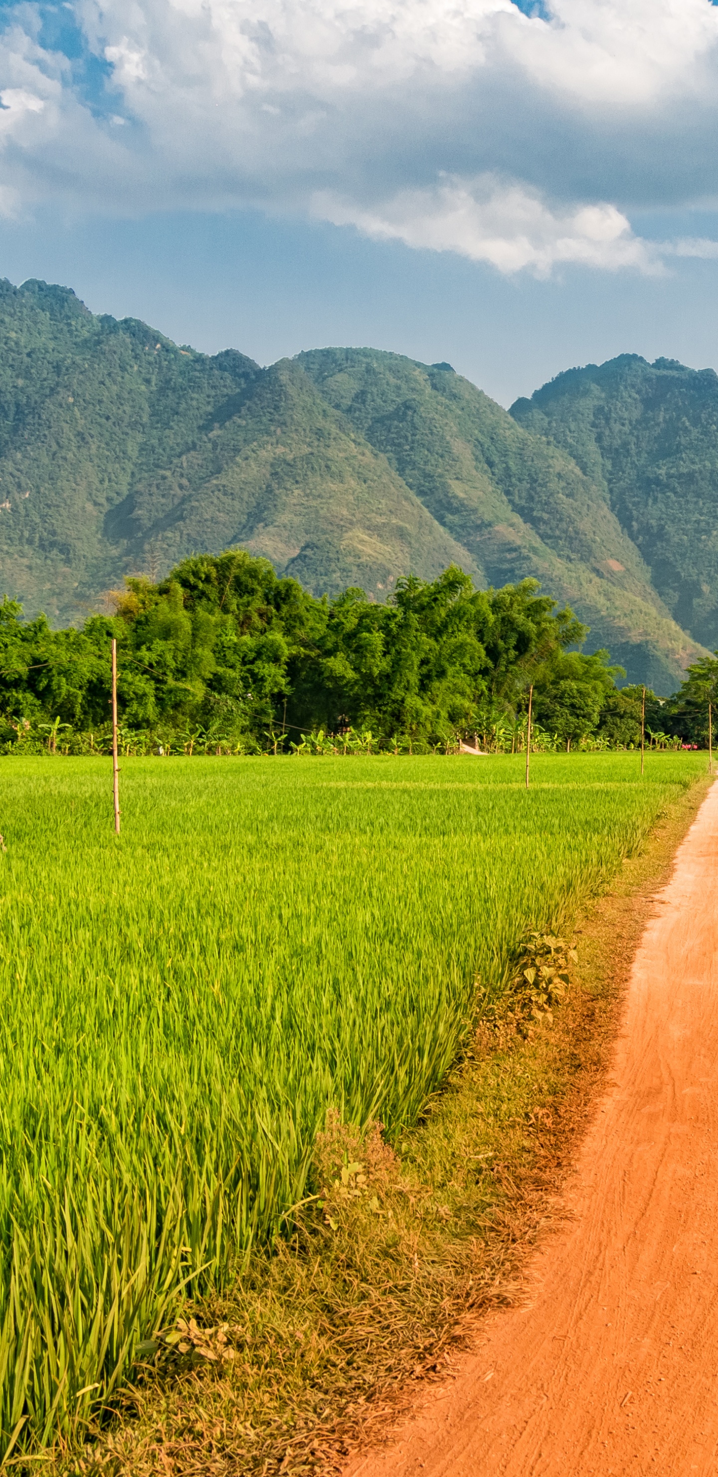 Braune Schotterstraße Zwischen Grünem Grasfeld Tagsüber. Wallpaper in 1440x2960 Resolution