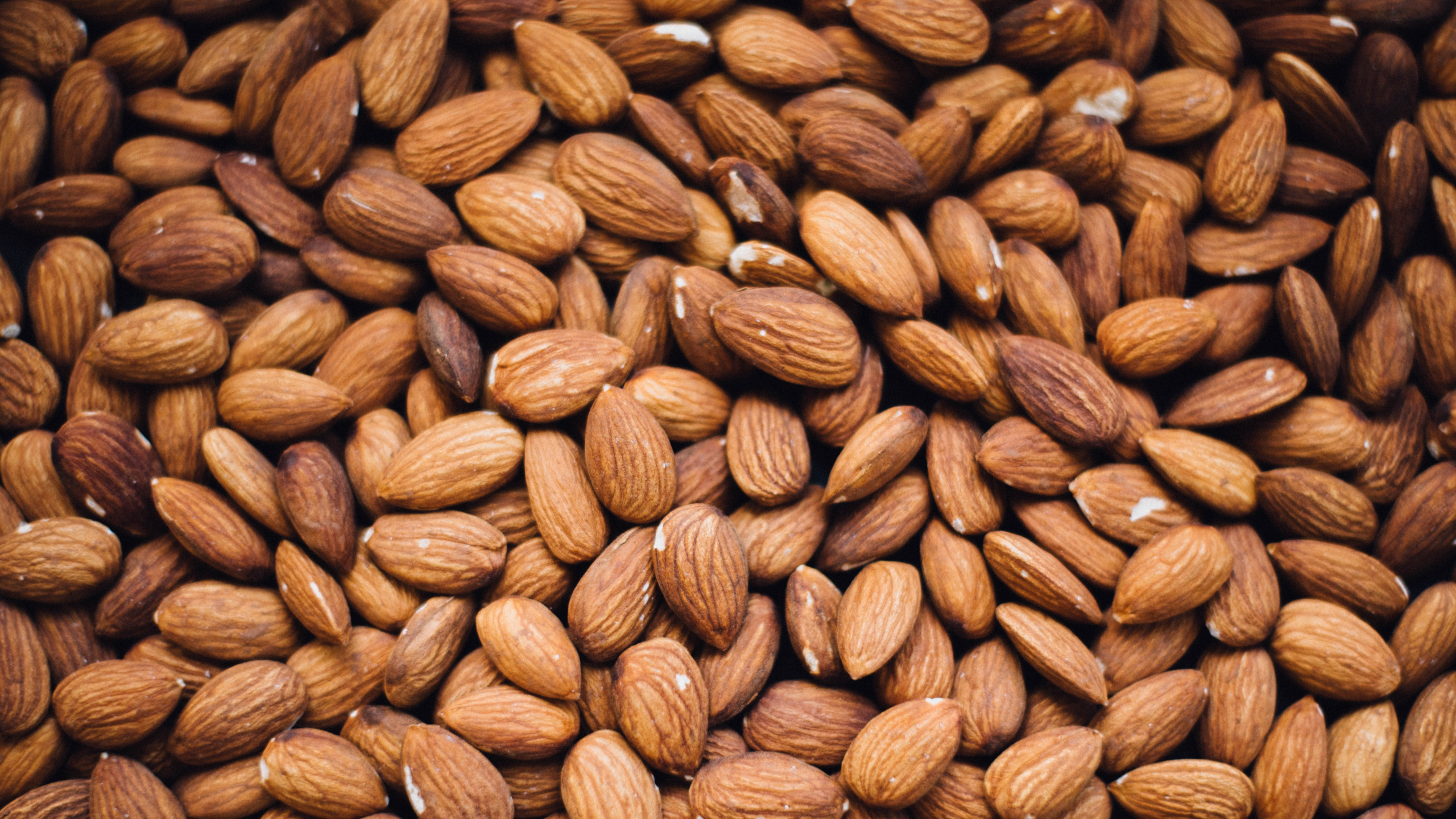 Textile Rond Marron et Noir. Wallpaper in 2560x1440 Resolution