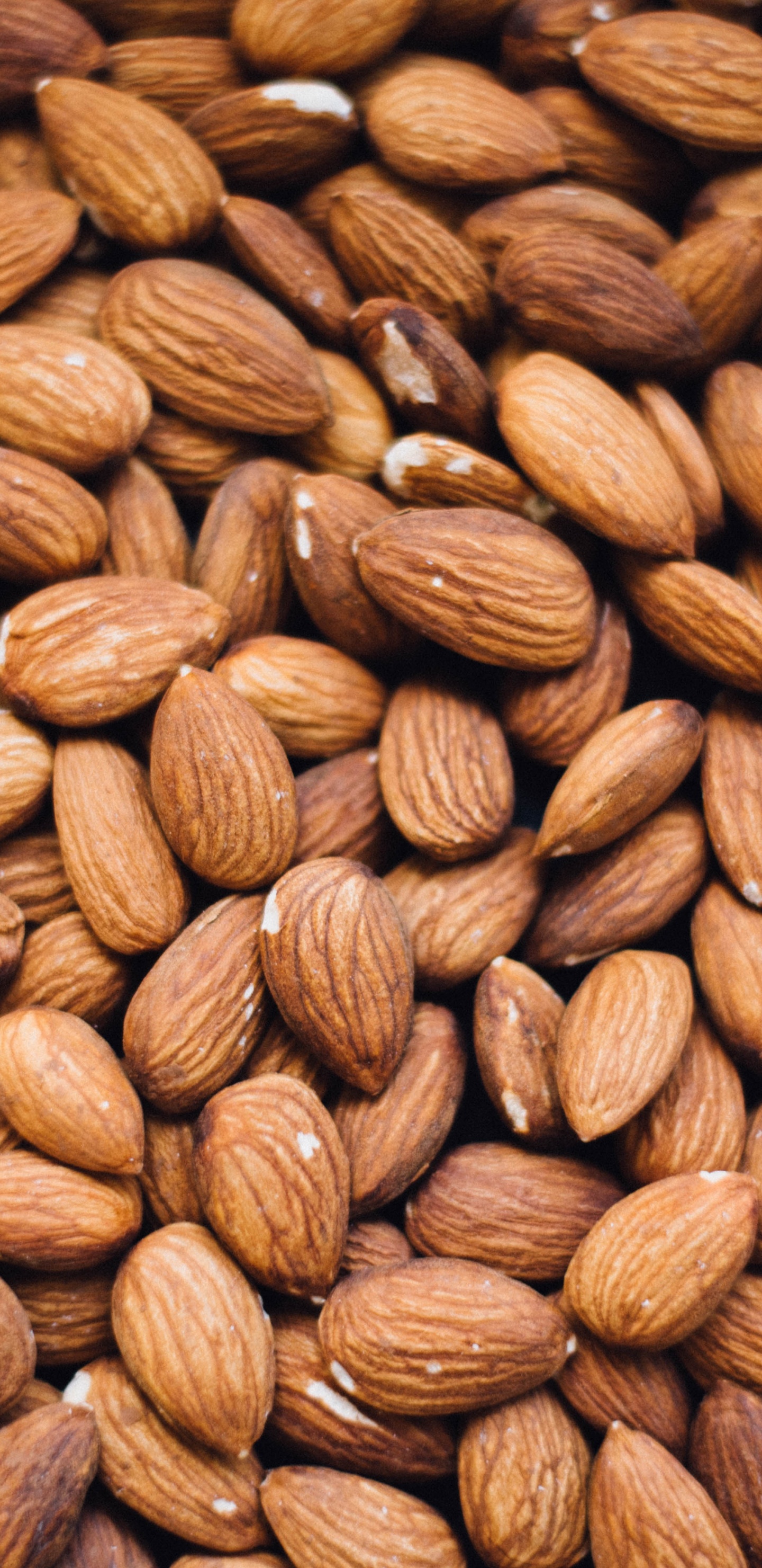 Textil Redondo Marrón y Negro. Wallpaper in 1440x2960 Resolution