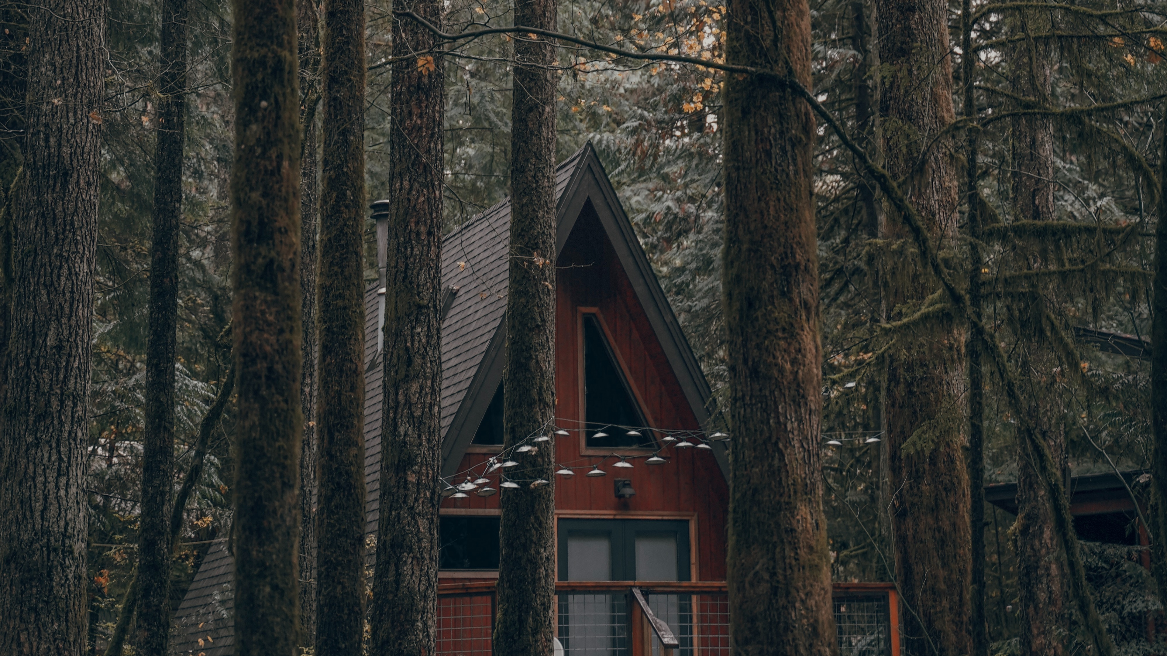 Forest, Tree, Building, Nature, Natural Environment. Wallpaper in 3840x2160 Resolution