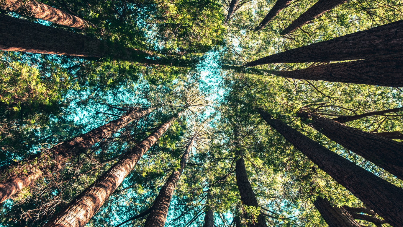 Casey Horner Unsplash, Plante Terrestre, Paysage Naturel, Art, de Teintes et de Nuances. Wallpaper in 1366x768 Resolution