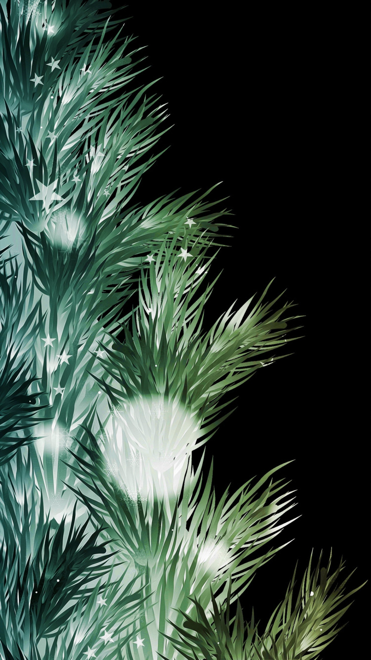 Neujahr, Weihnachten, Weihnachtsbaum, Blatt, Terrestrische Pflanzen. Wallpaper in 750x1334 Resolution