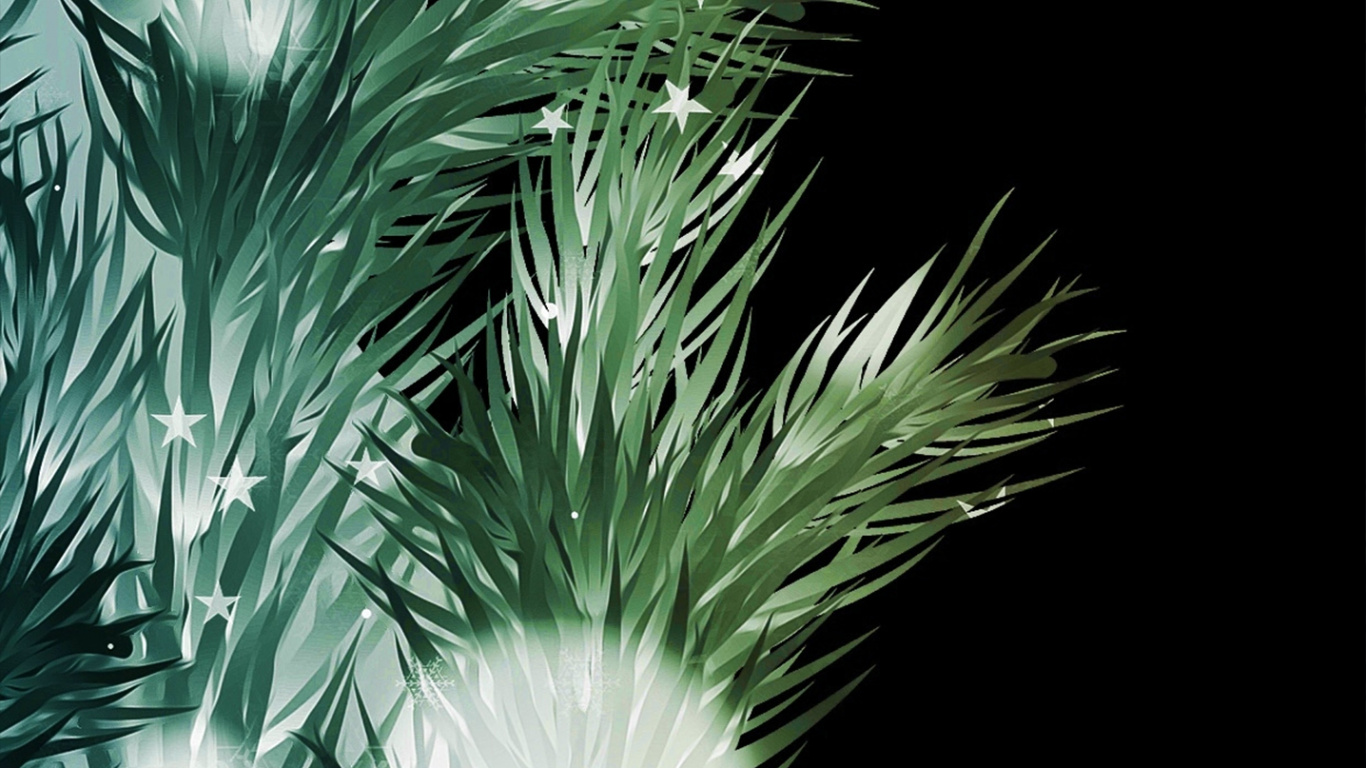 Nochevieja, Navidad, El Día De Navidad, Planta Terrestre, Evergreen. Wallpaper in 1366x768 Resolution