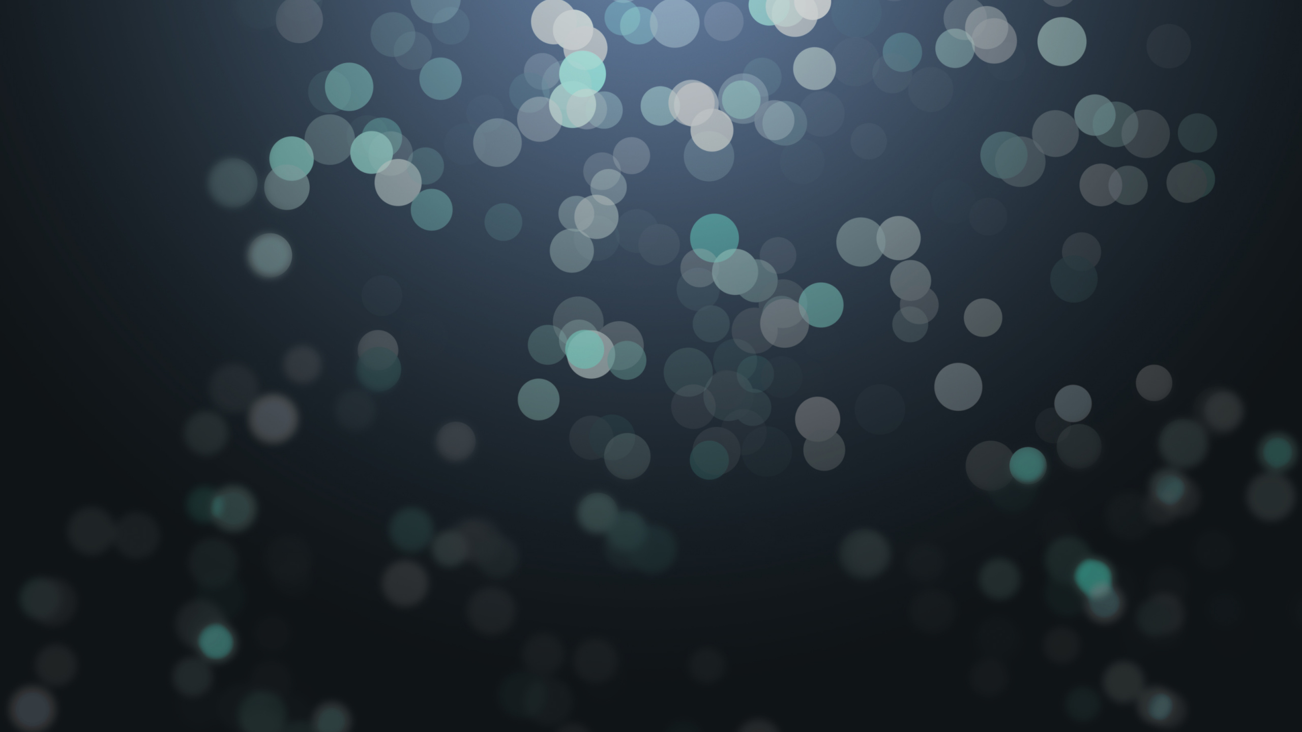 Weißes Und Blaues Licht-Bokeh. Wallpaper in 2560x1440 Resolution