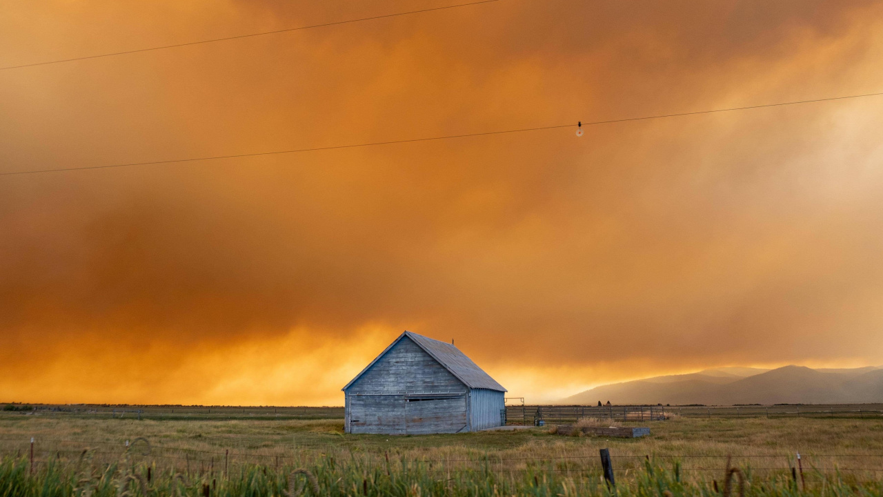 Grasses, Cloud, Atmosphere, Ecoregion, Plant. Wallpaper in 1280x720 Resolution