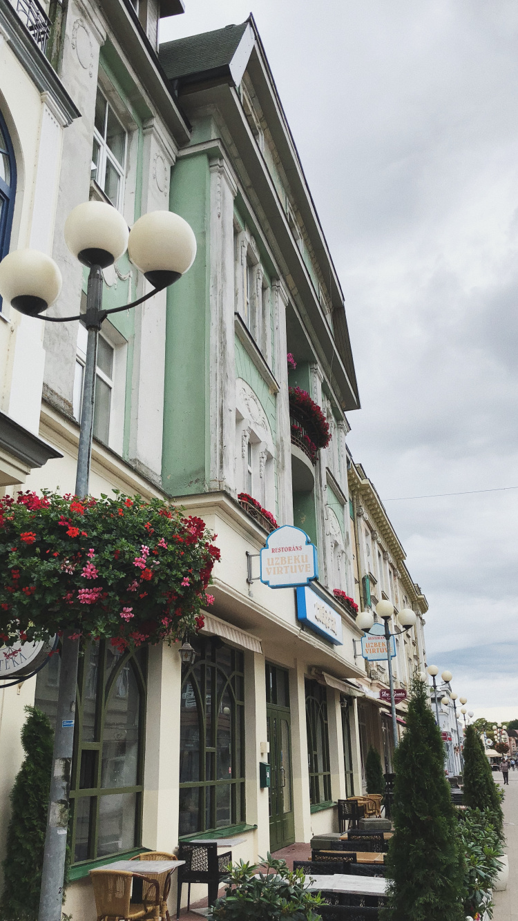 House, Real Estate, Neighbourhood, Town, Flowerpot. Wallpaper in 750x1334 Resolution