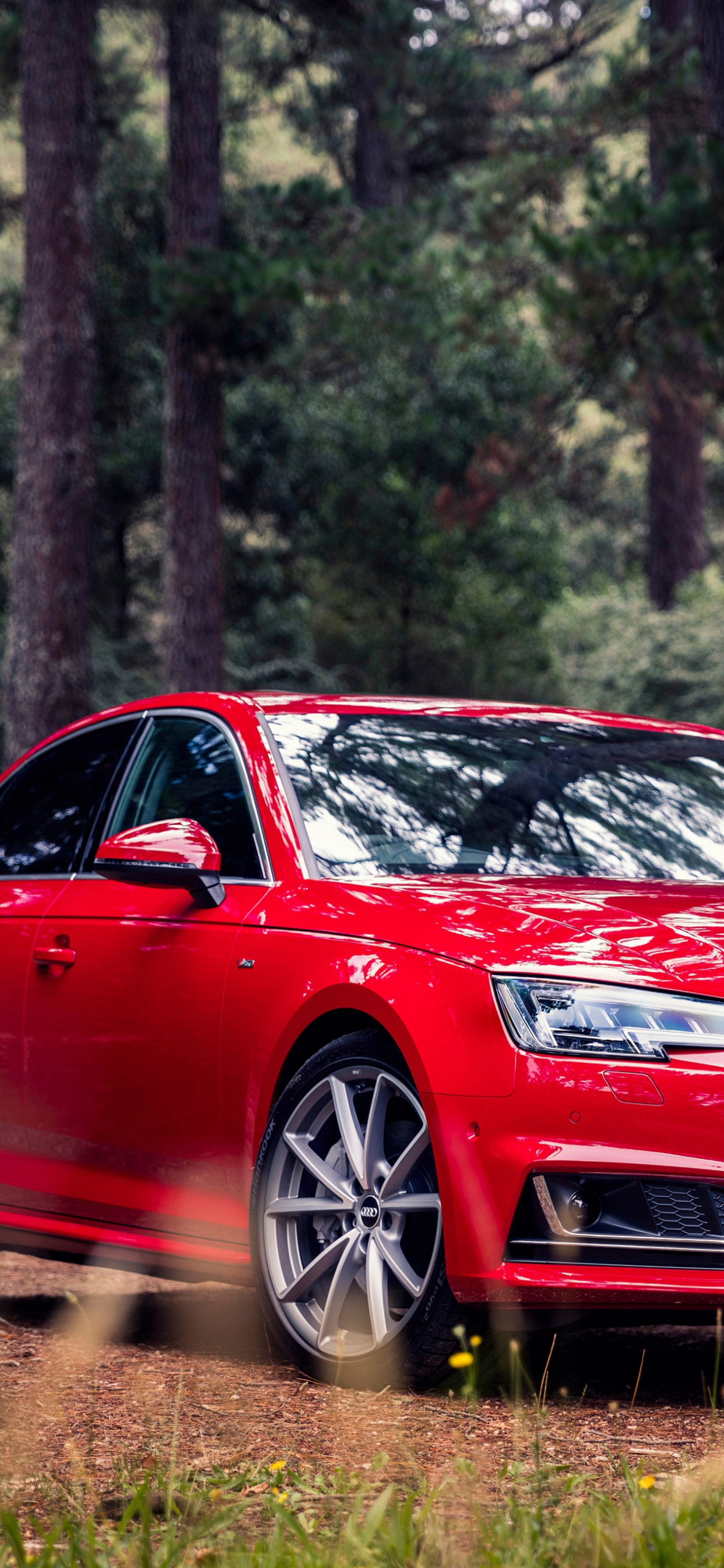 Red Audi a 4 Sedan Parked on Forest During Daytime. Wallpaper in 1242x2688 Resolution