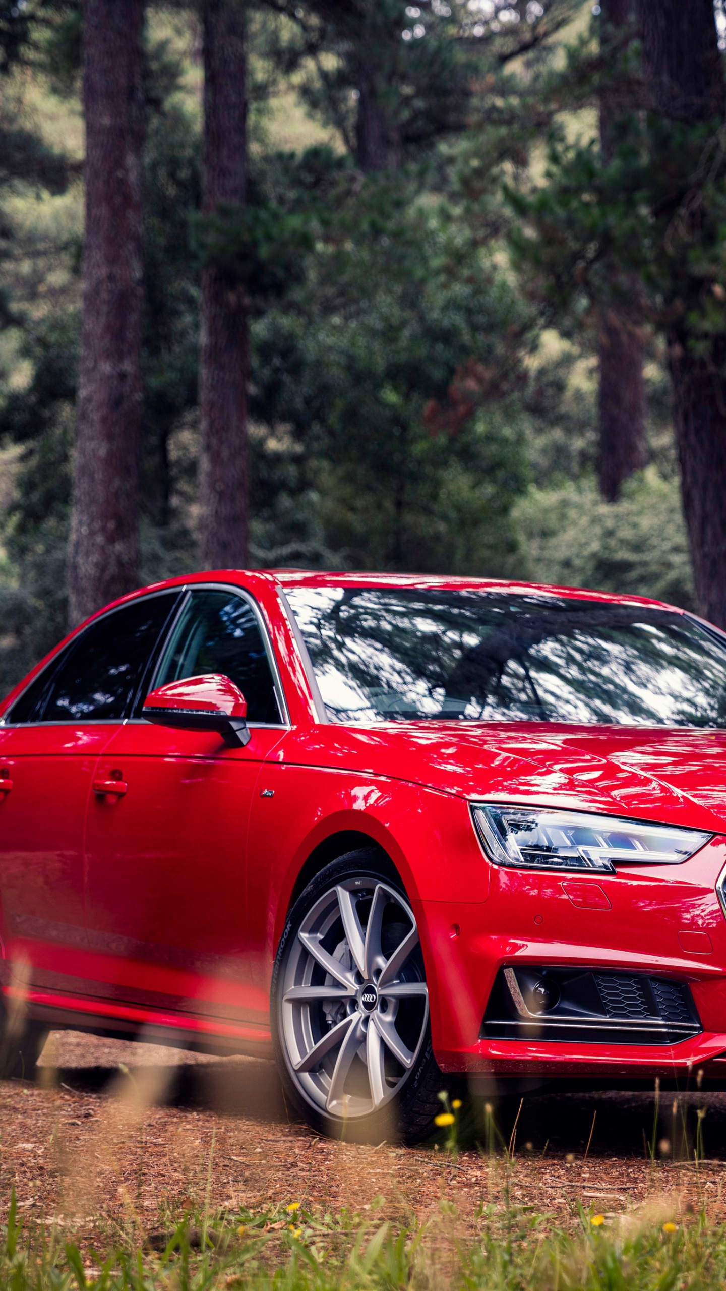 Red Audi a 4 Sedan Parked on Forest During Daytime. Wallpaper in 1440x2560 Resolution