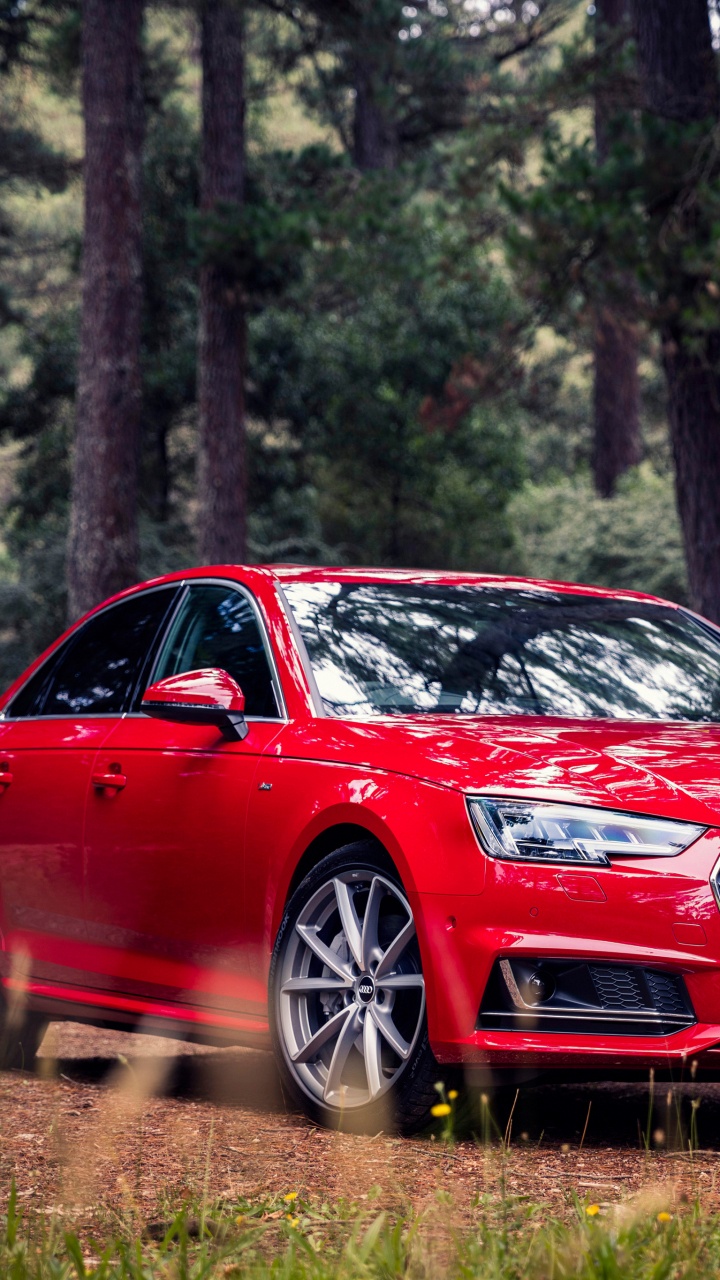 Rot Audi a 4 Limousine Parkte Tagsüber im Wald. Wallpaper in 720x1280 Resolution