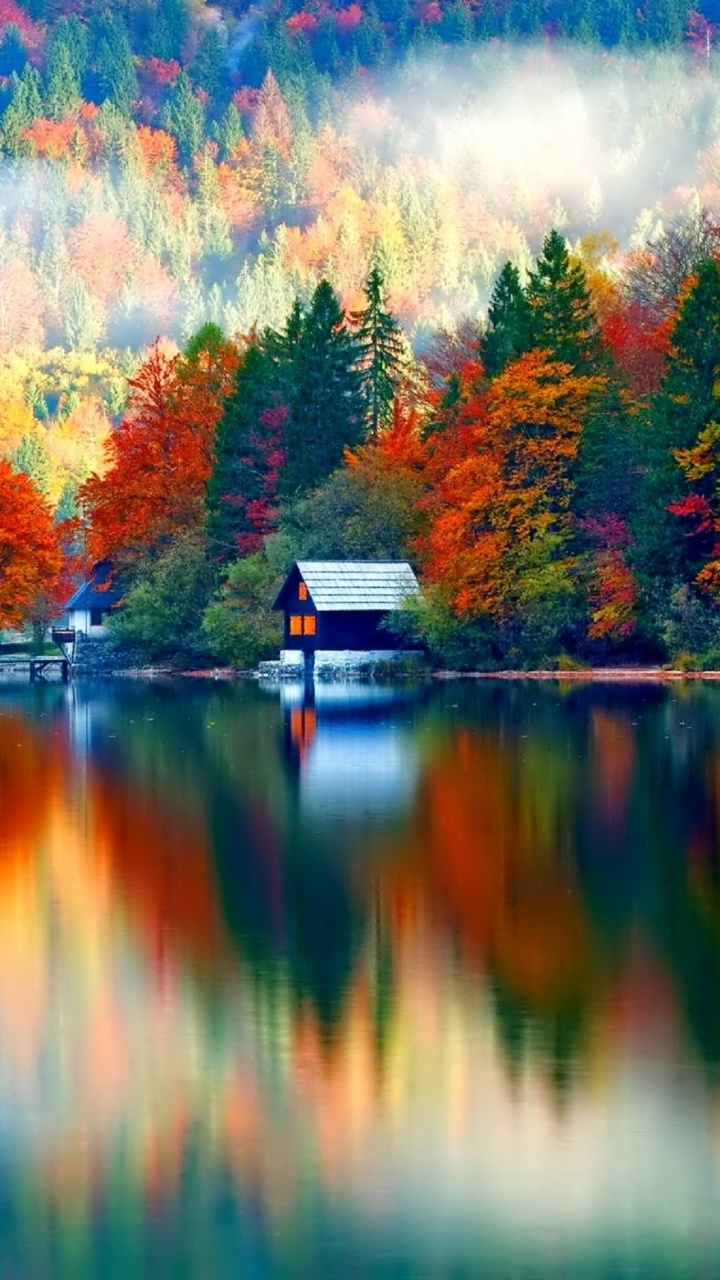 Maison en Bois Brune Sur le Lac Pendant la Journée. Wallpaper in 720x1280 Resolution