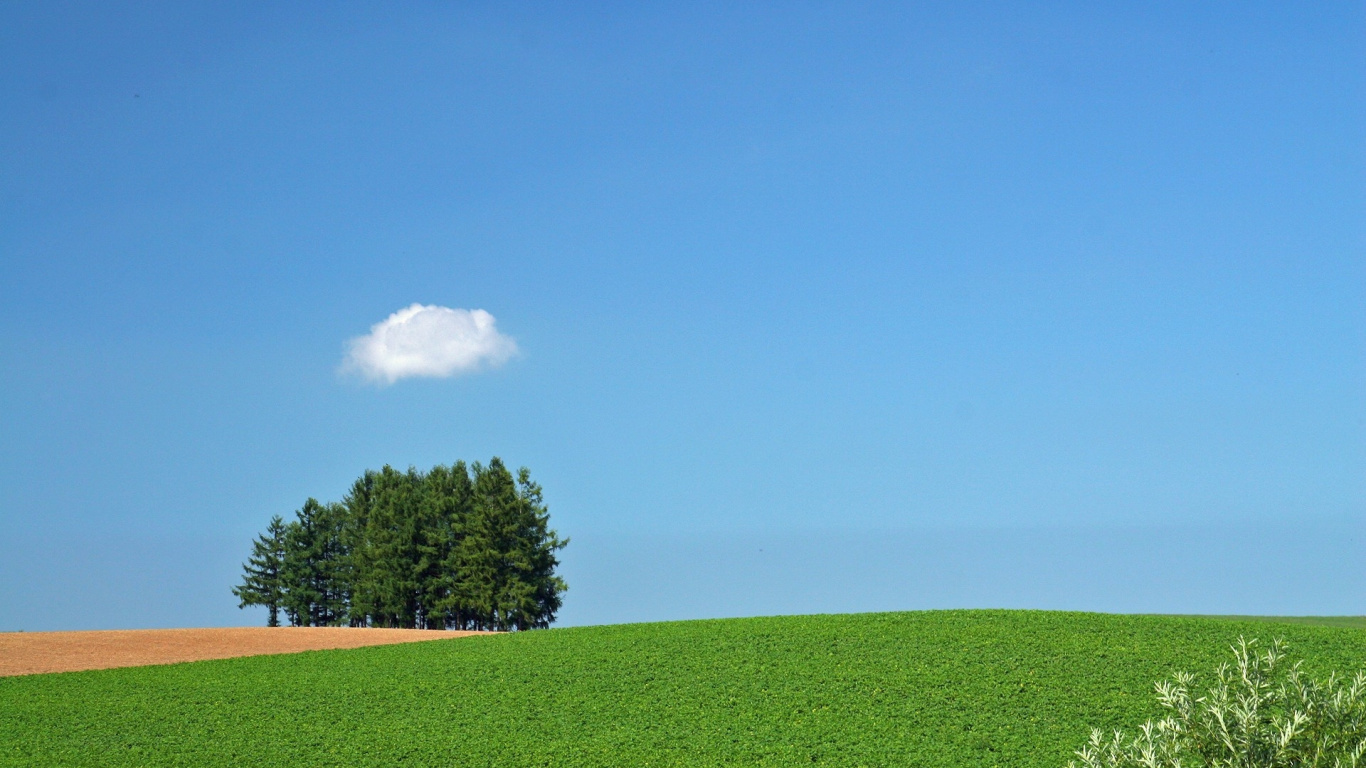Champ D'herbe Verte Avec Des Arbres Verts Sous Ciel Bleu Pendant la Journée. Wallpaper in 1366x768 Resolution
