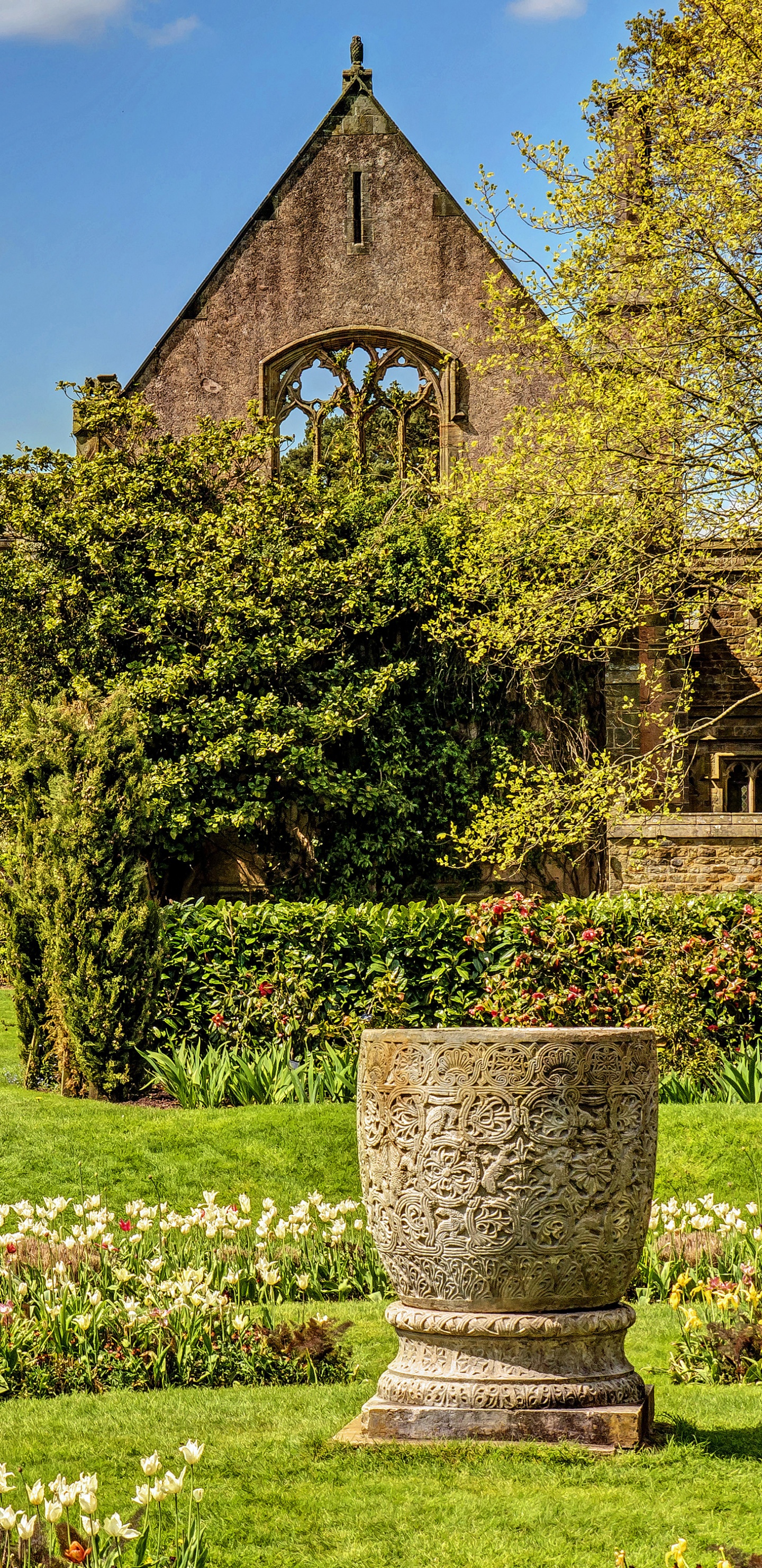 Grüne Wiese in Der Nähe Von Braunem Betongebäude Tagsüber Building. Wallpaper in 1440x2960 Resolution