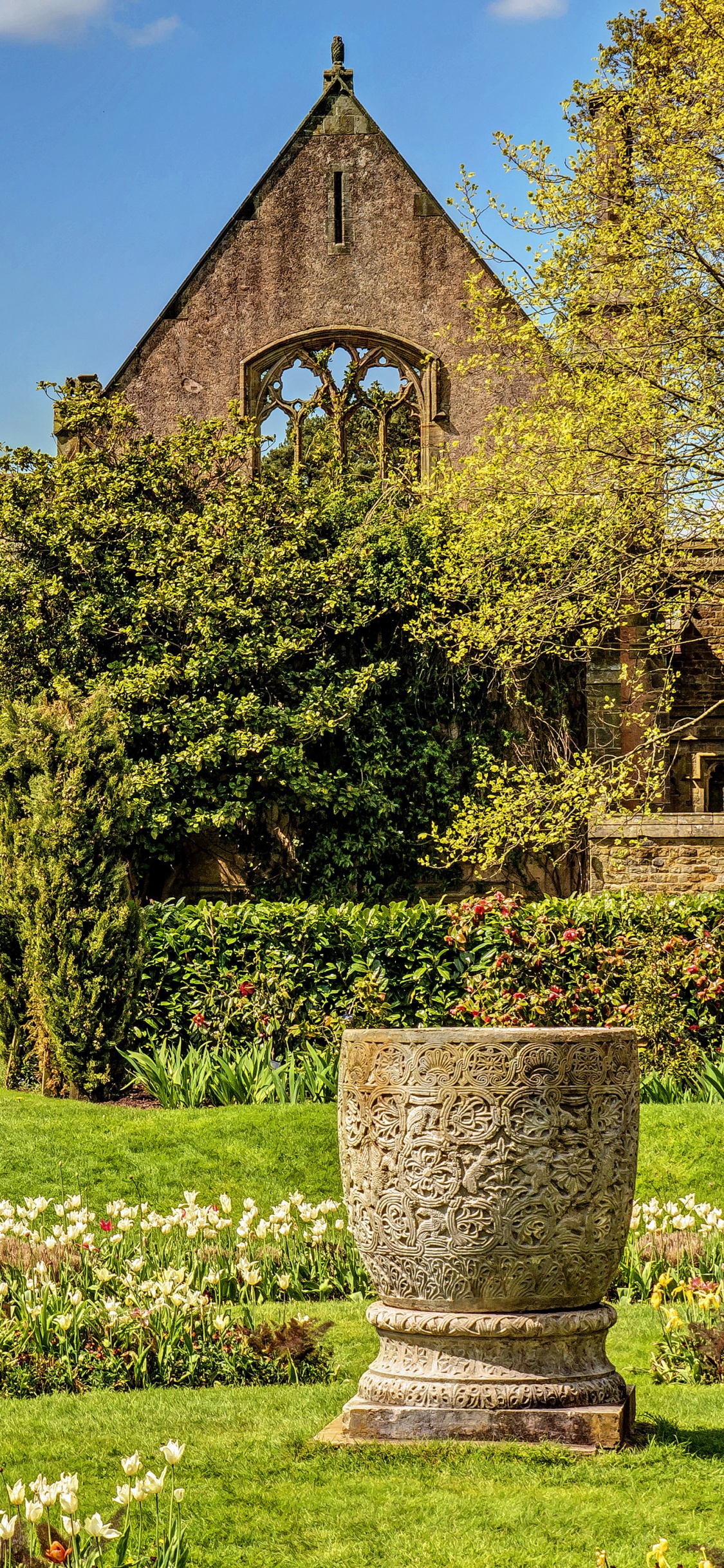 Campo de Hierba Verde Cerca Del Edificio de Hormigón Marrón Durante el Día. Wallpaper in 1125x2436 Resolution