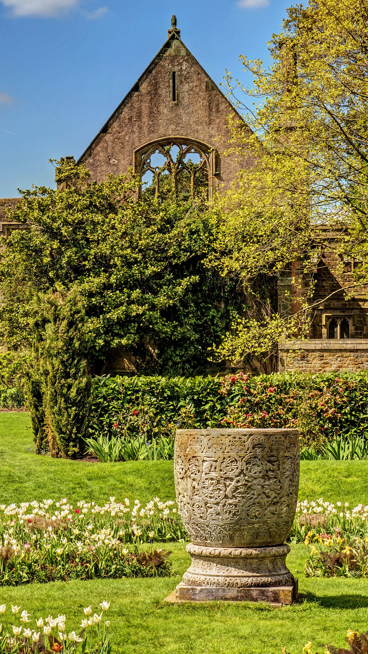 Campo de Hierba Verde Cerca Del Edificio de Hormigón Marrón Durante el Día. Wallpaper in 1440x2560 Resolution