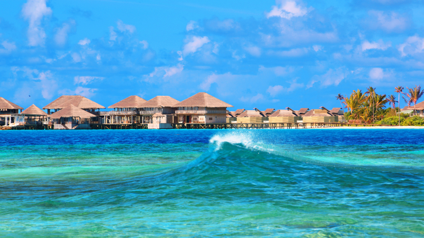 Casas de Madera Marrón y Blanca Cerca Del Cuerpo de Agua Bajo un Cielo Azul Durante el Día. Wallpaper in 1366x768 Resolution