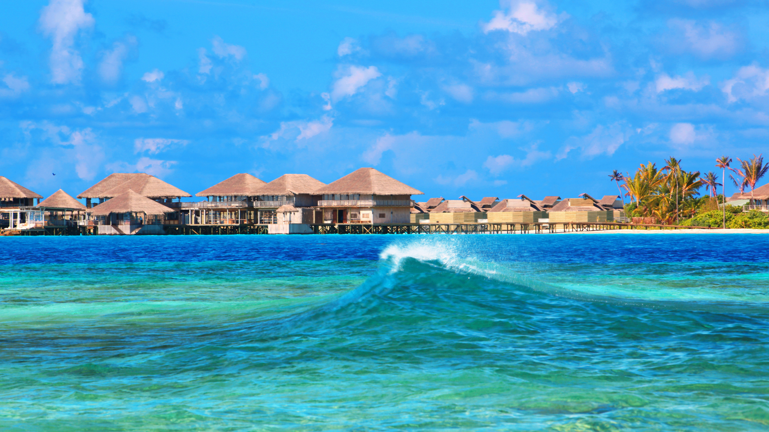 Casas de Madera Marrón y Blanca Cerca Del Cuerpo de Agua Bajo un Cielo Azul Durante el Día. Wallpaper in 2560x1440 Resolution