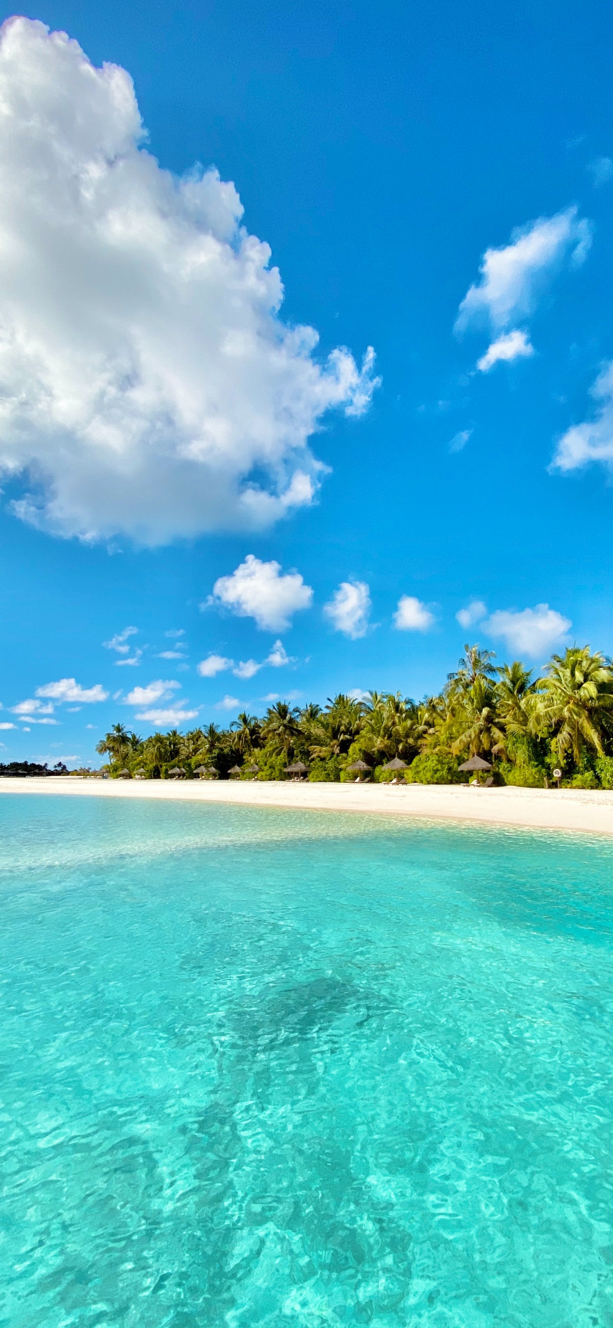 Corps de L'eau, Blue, Nature, Mer, Tropique. Wallpaper in 1242x2688 Resolution